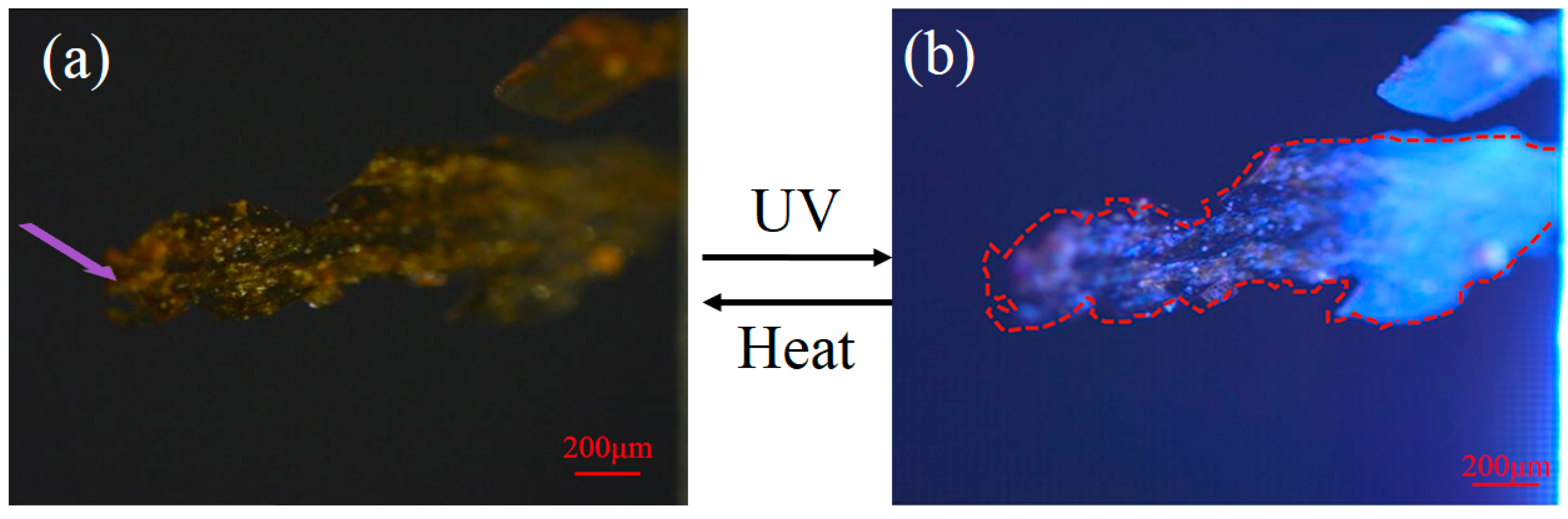 Crystals 10 00092 g005