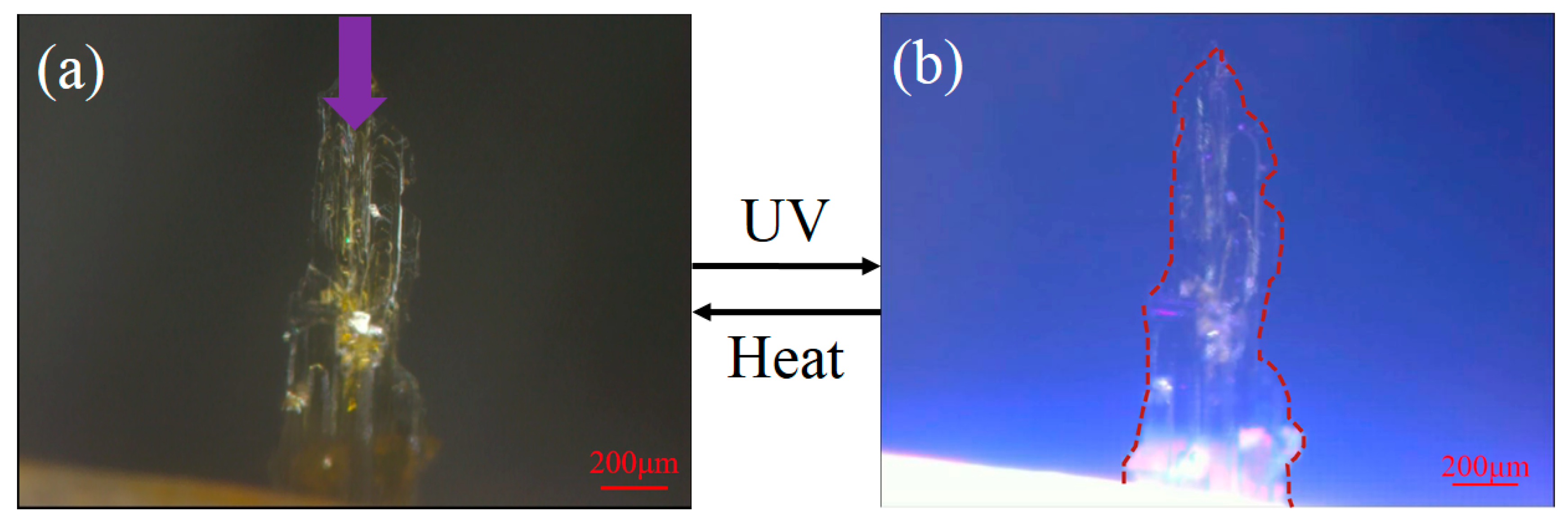 Crystals 10 00092 g006