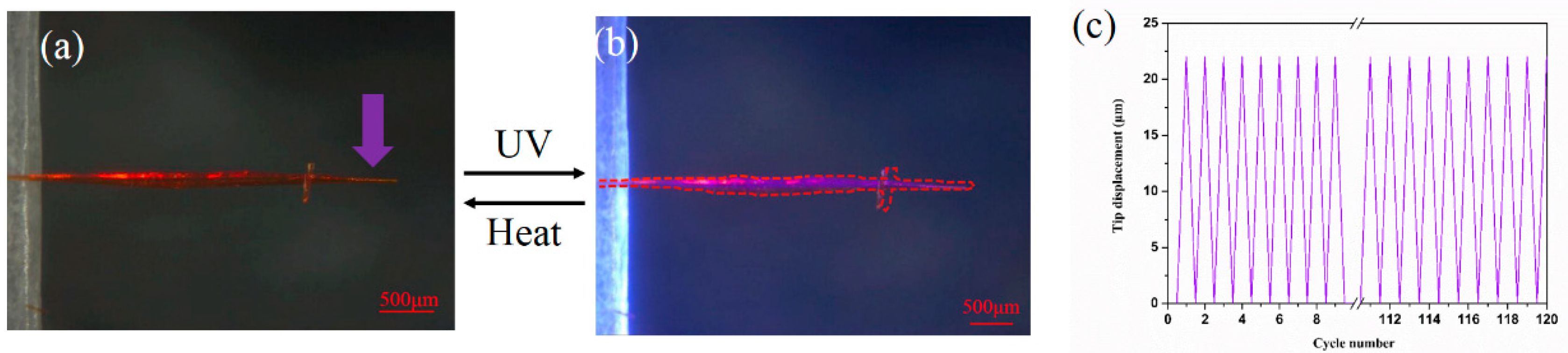 Crystals 10 00092 g007