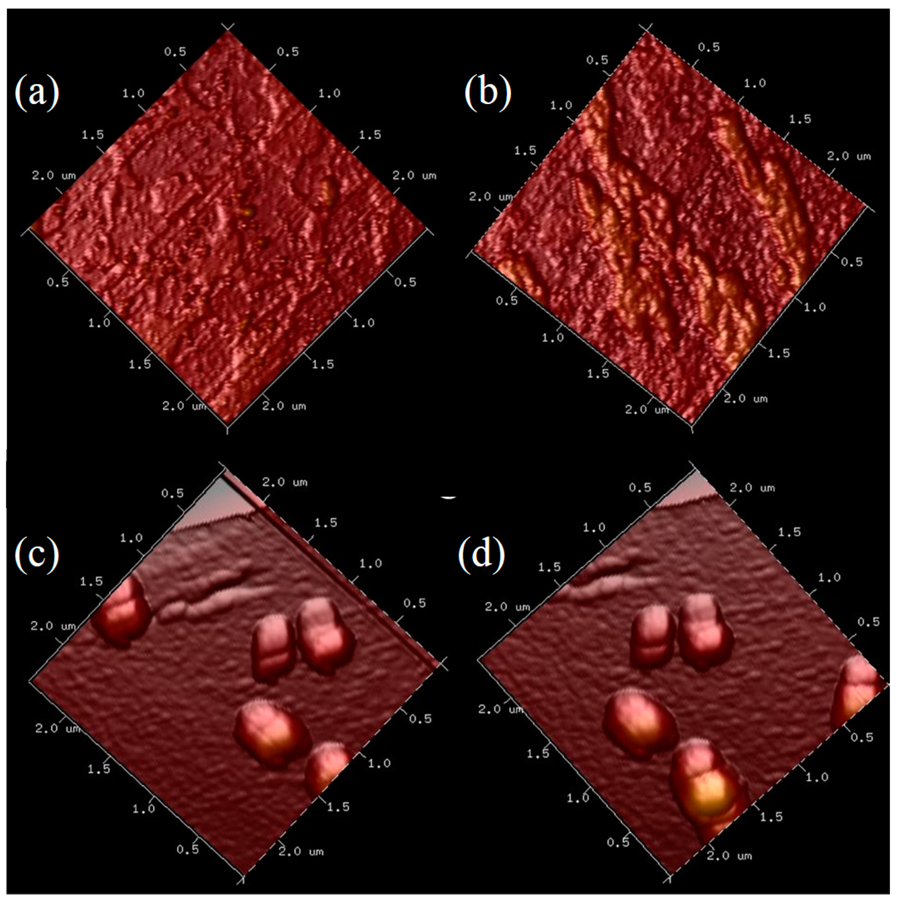 Crystals 10 00092 g010