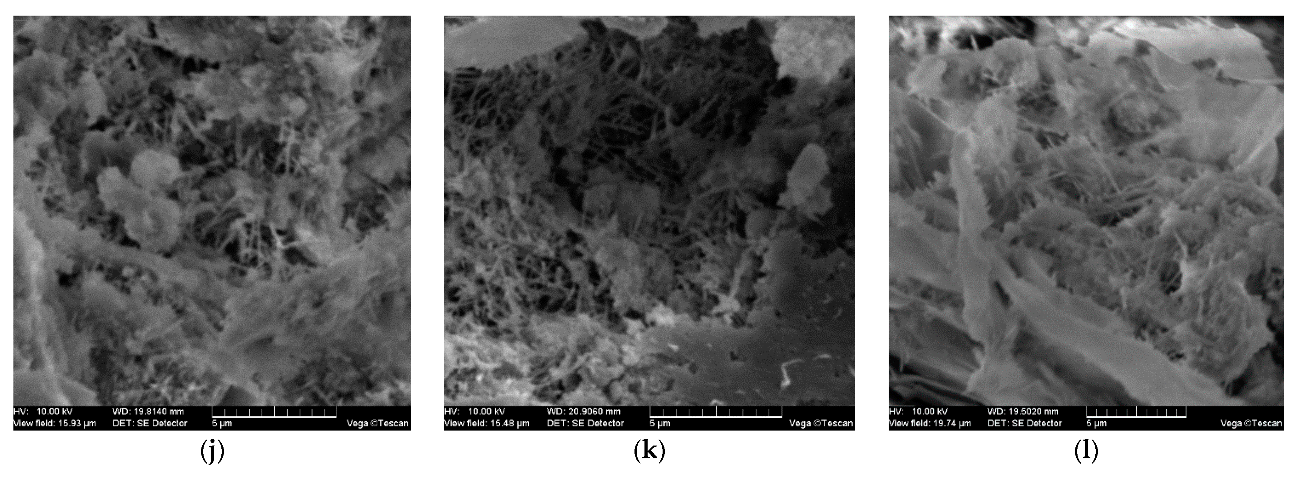 Crystals 10 00102 g006b