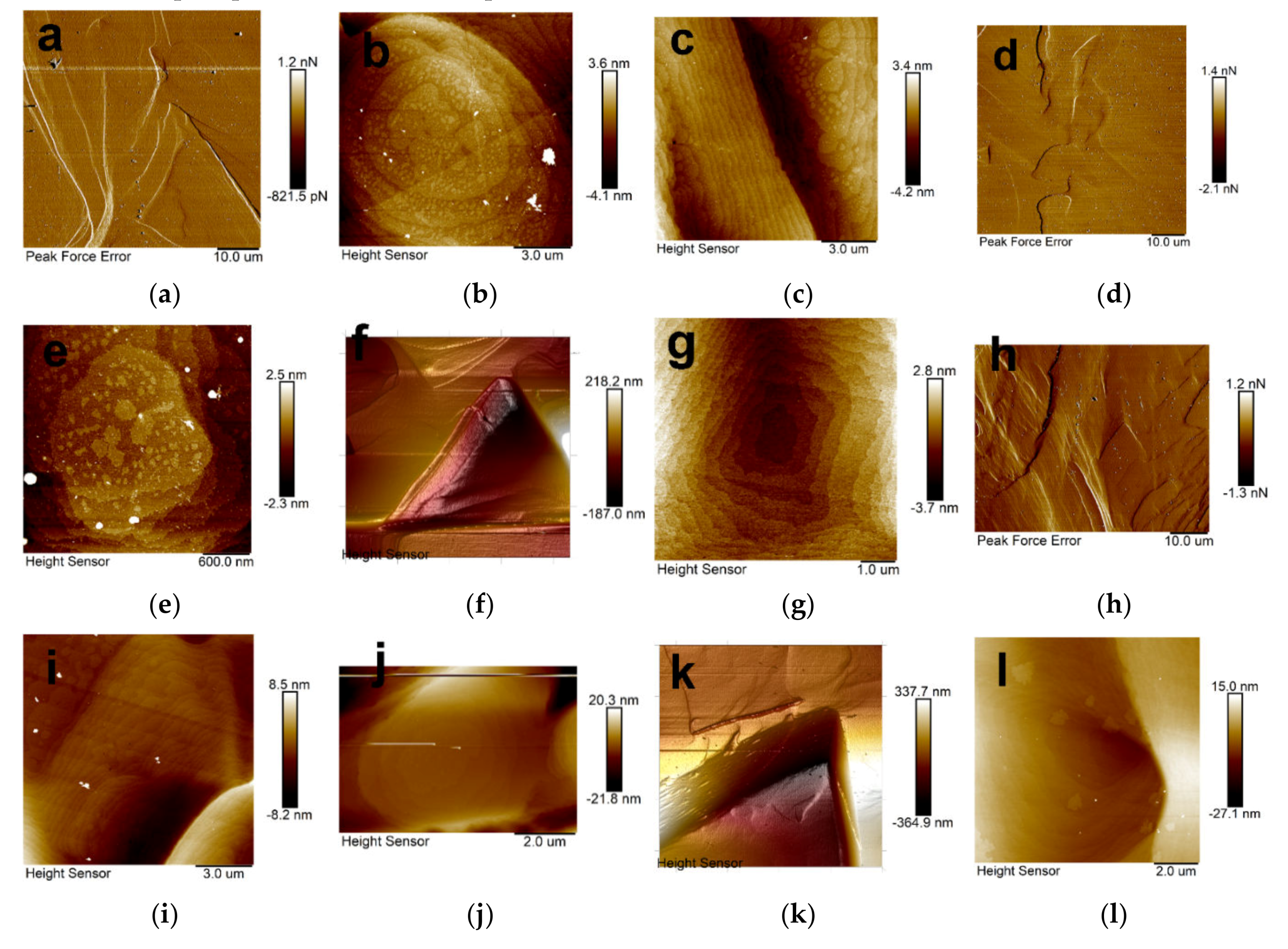Crystals 10 00108 g005 Crystals 10 00108 g005