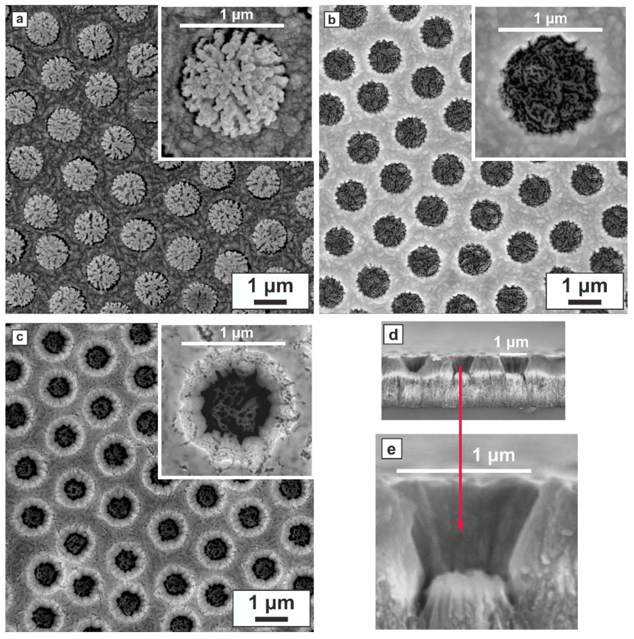 Crystals 10 00118 g007