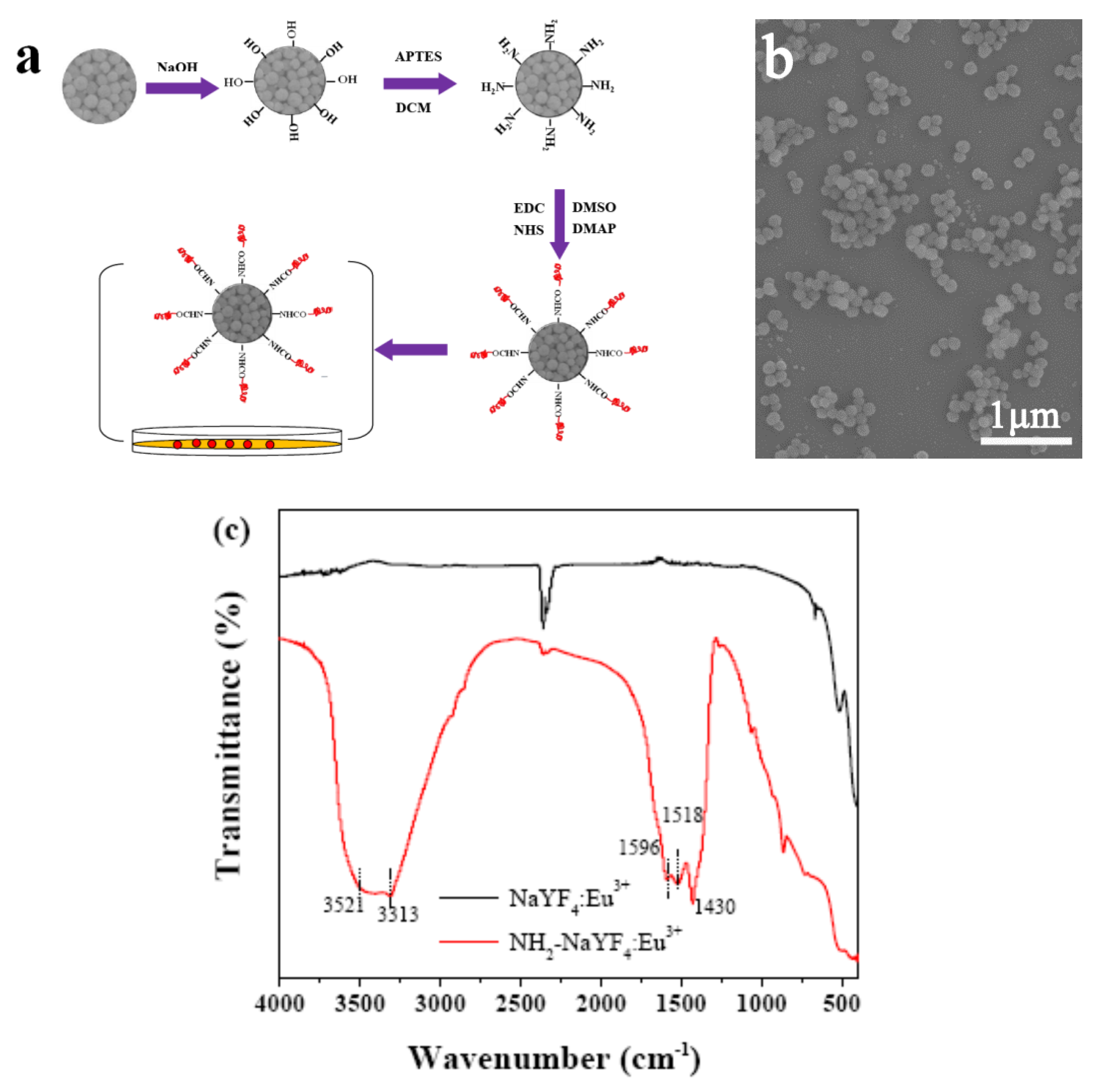 Crystals 10 00119 g005