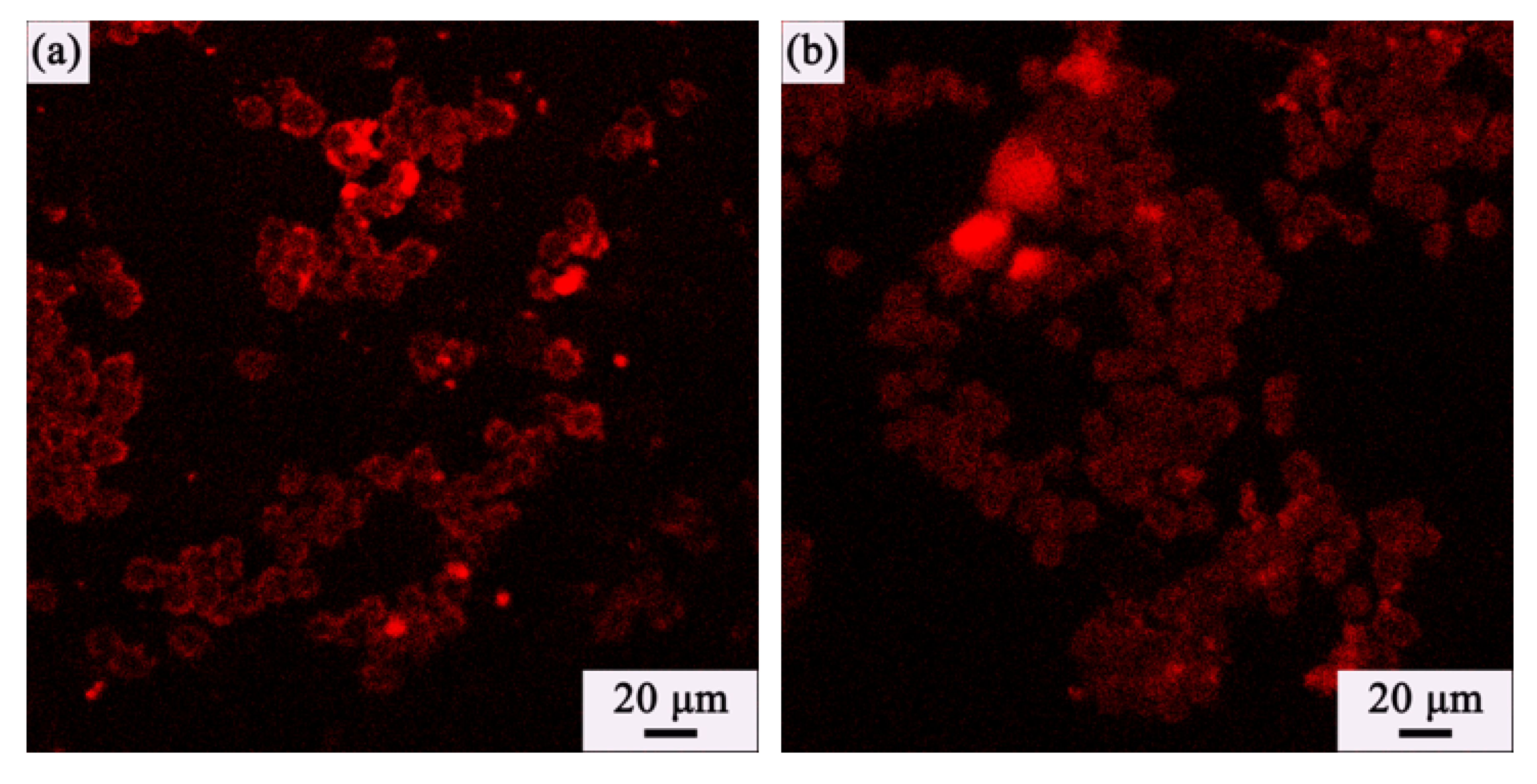 Crystals 10 00119 g006