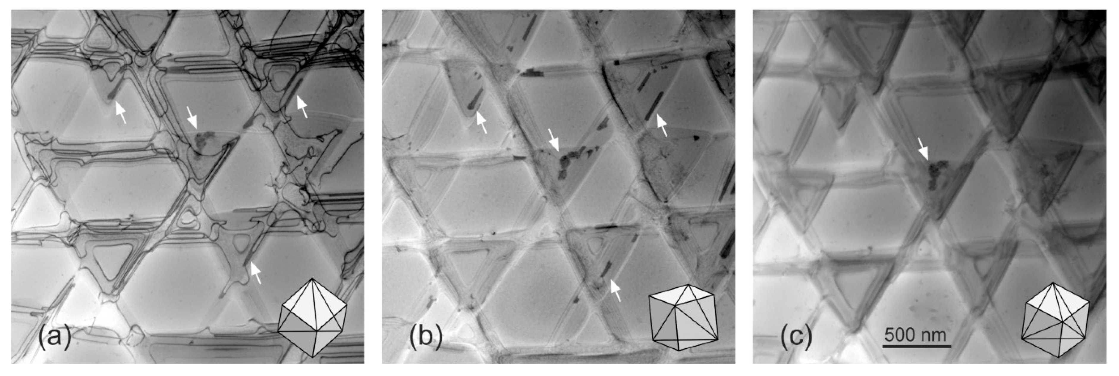 Crystals 10 00134 g005 Crystals 10 00134 g005
