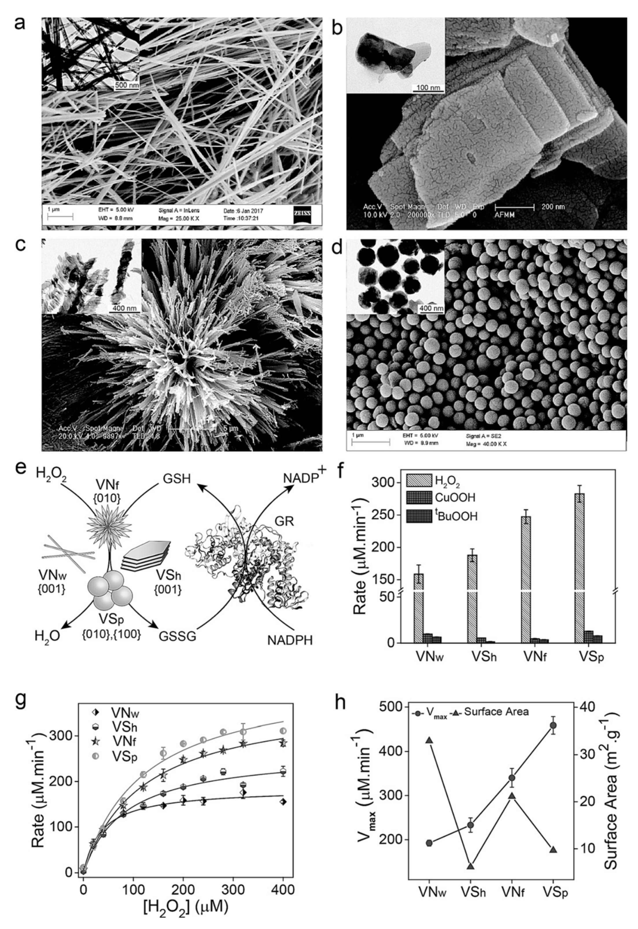 Crystals 10 00148 g004