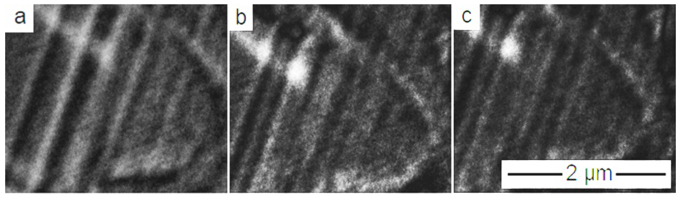 Crystals 10 00153 g006