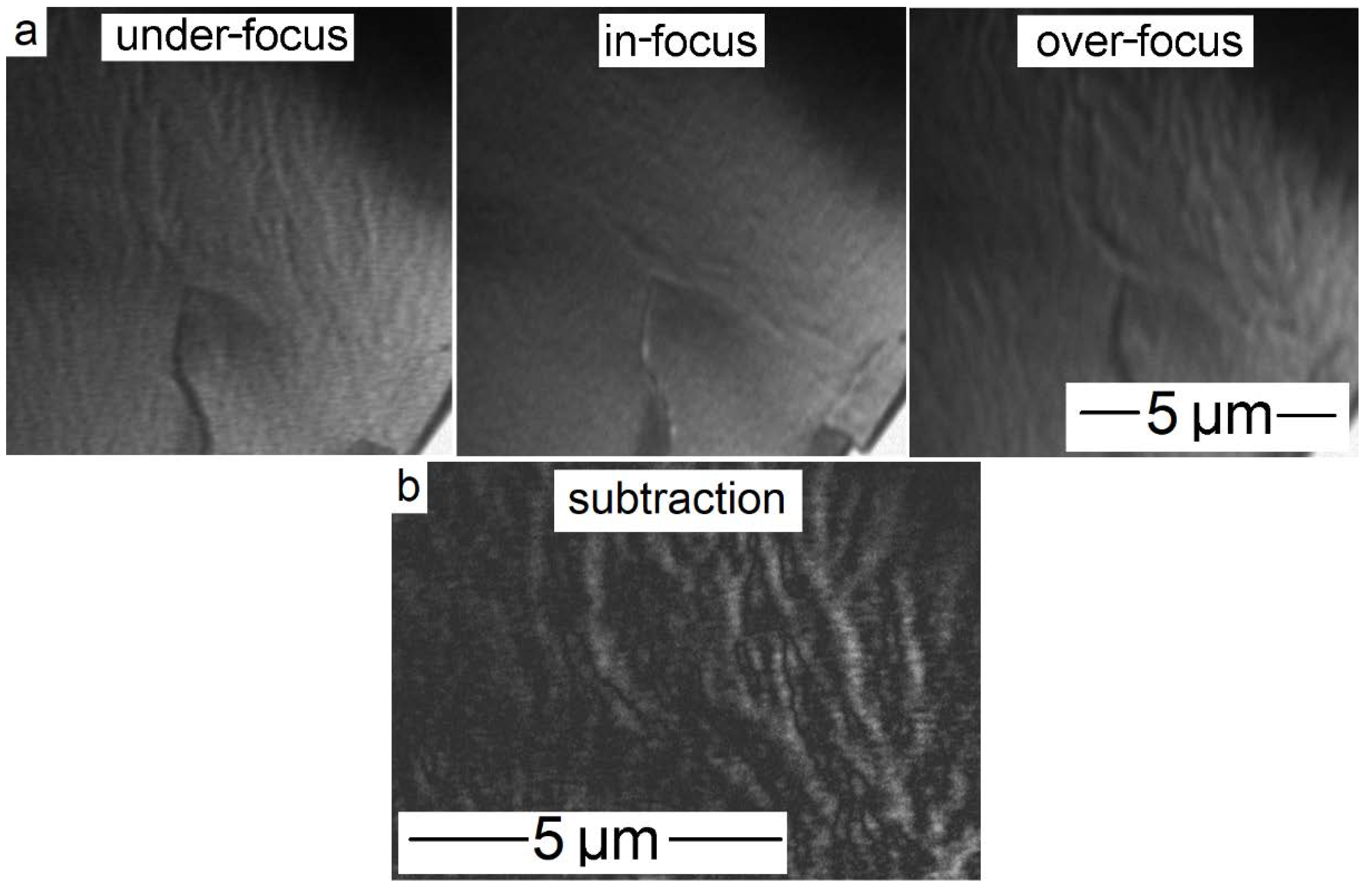 Crystals 10 00153 g012