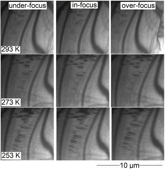 Crystals 10 00153 g0a1