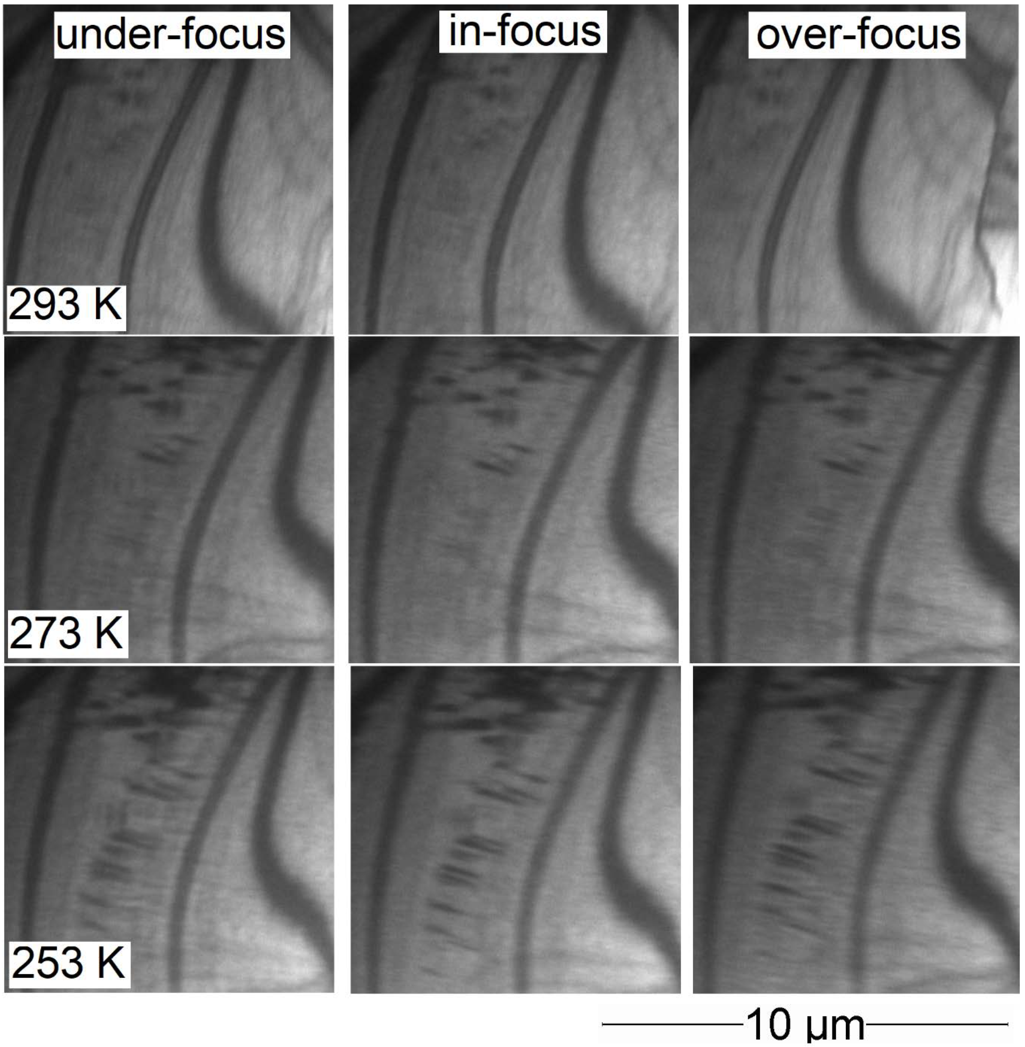 Crystals 10 00153 g0a1