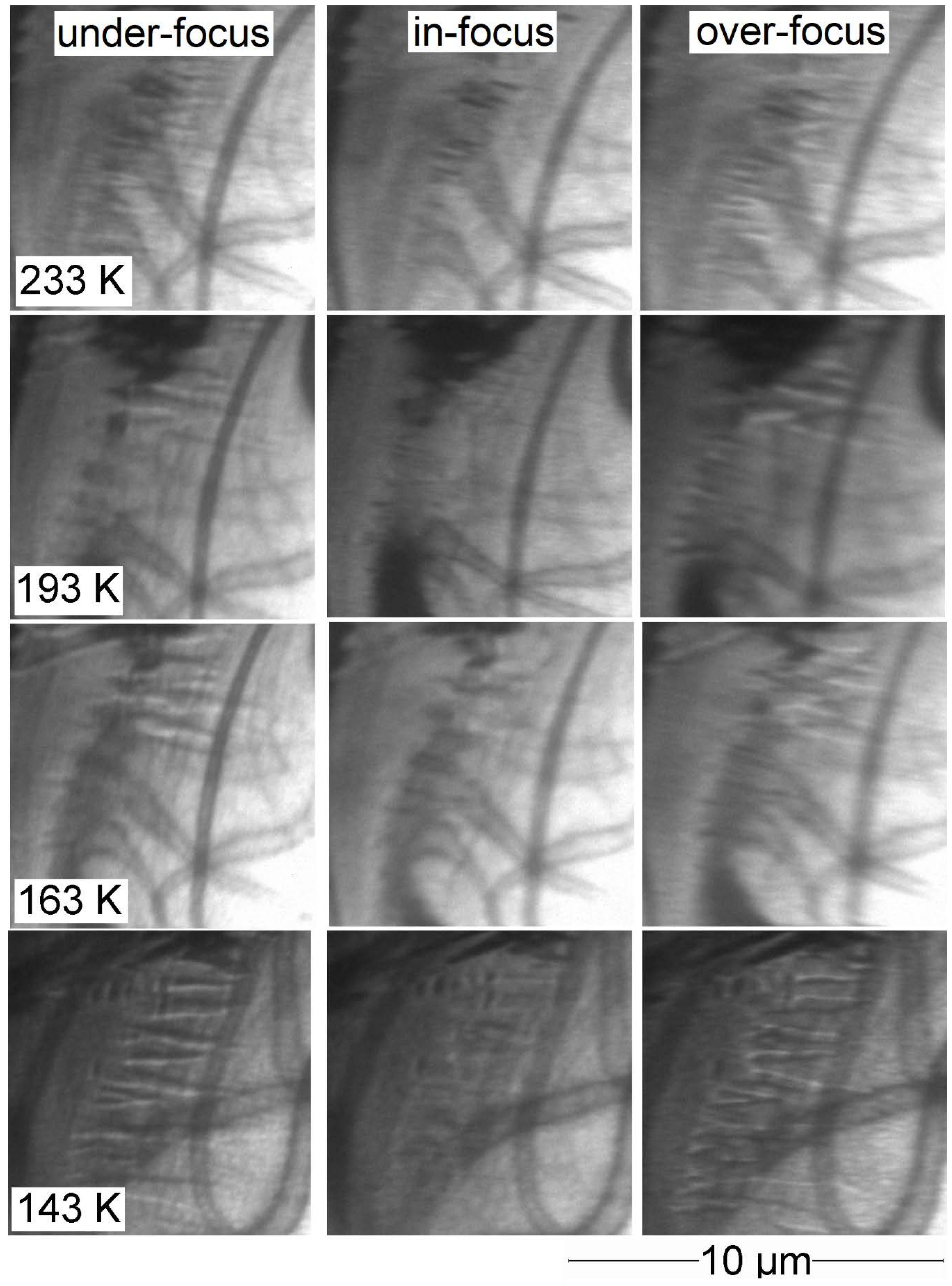 Crystals 10 00153 g0a2
