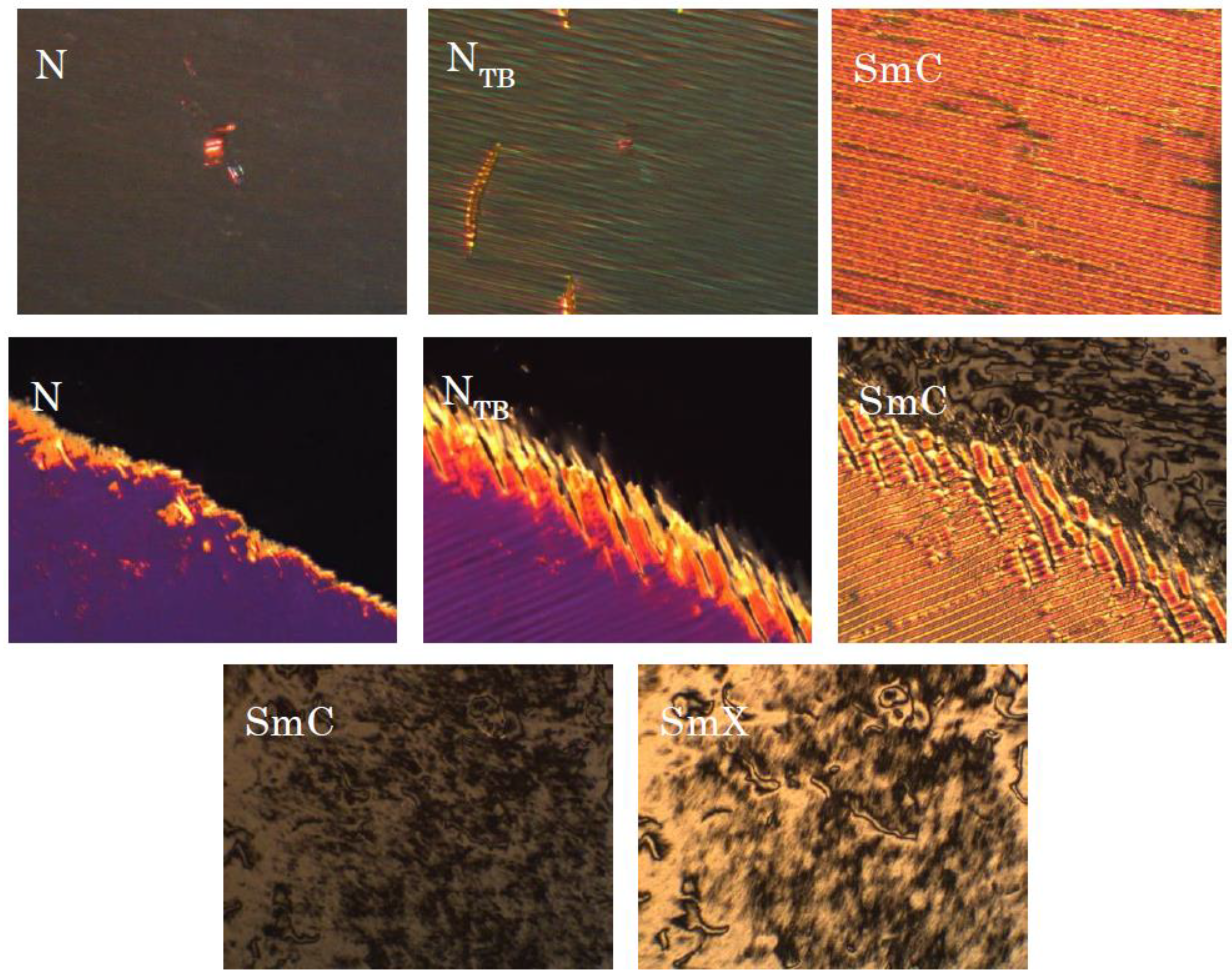 Crystals 10 00175 g004 Crystals 10 00175 g004