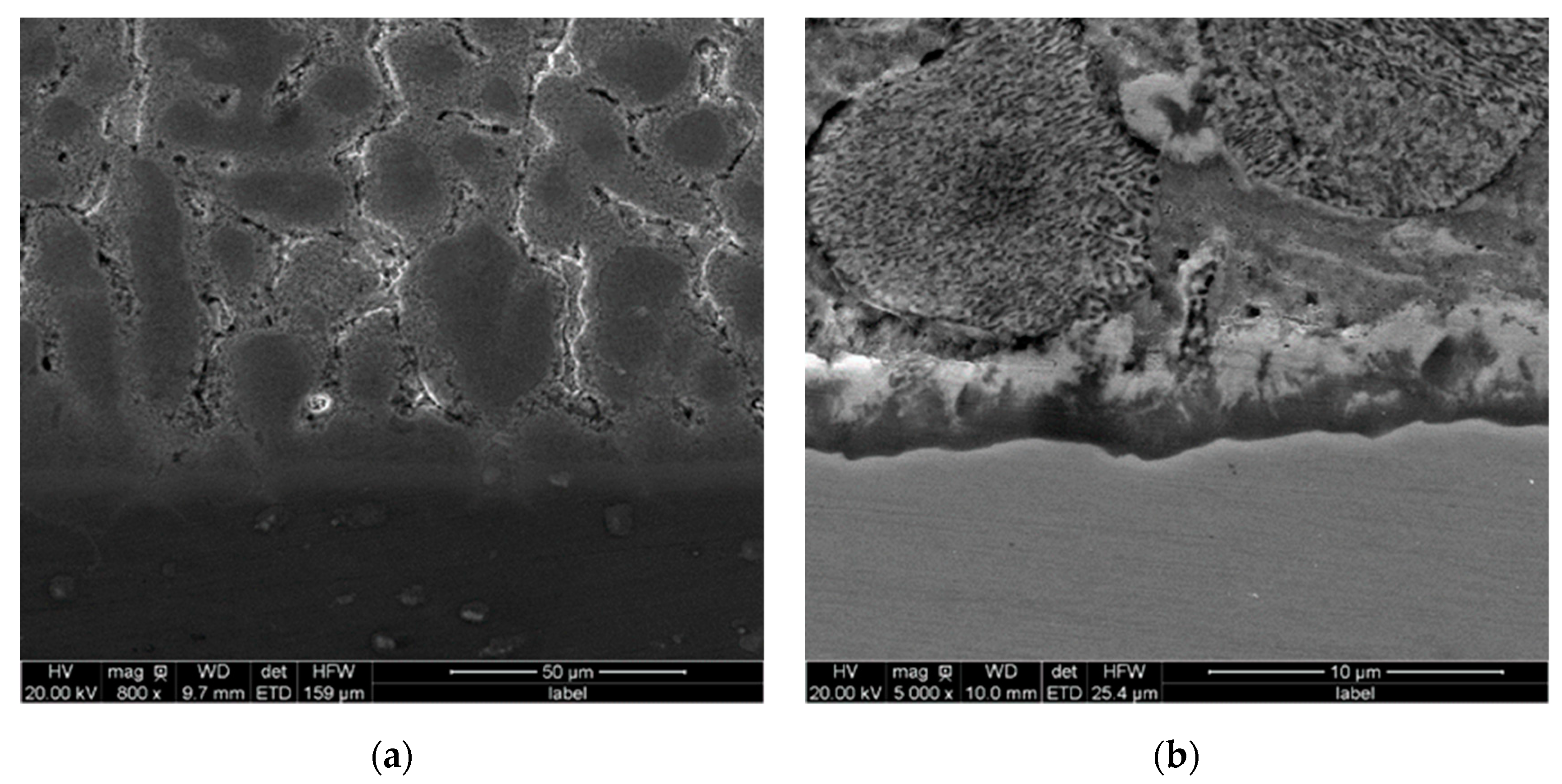 Crystals 10 00183 g005