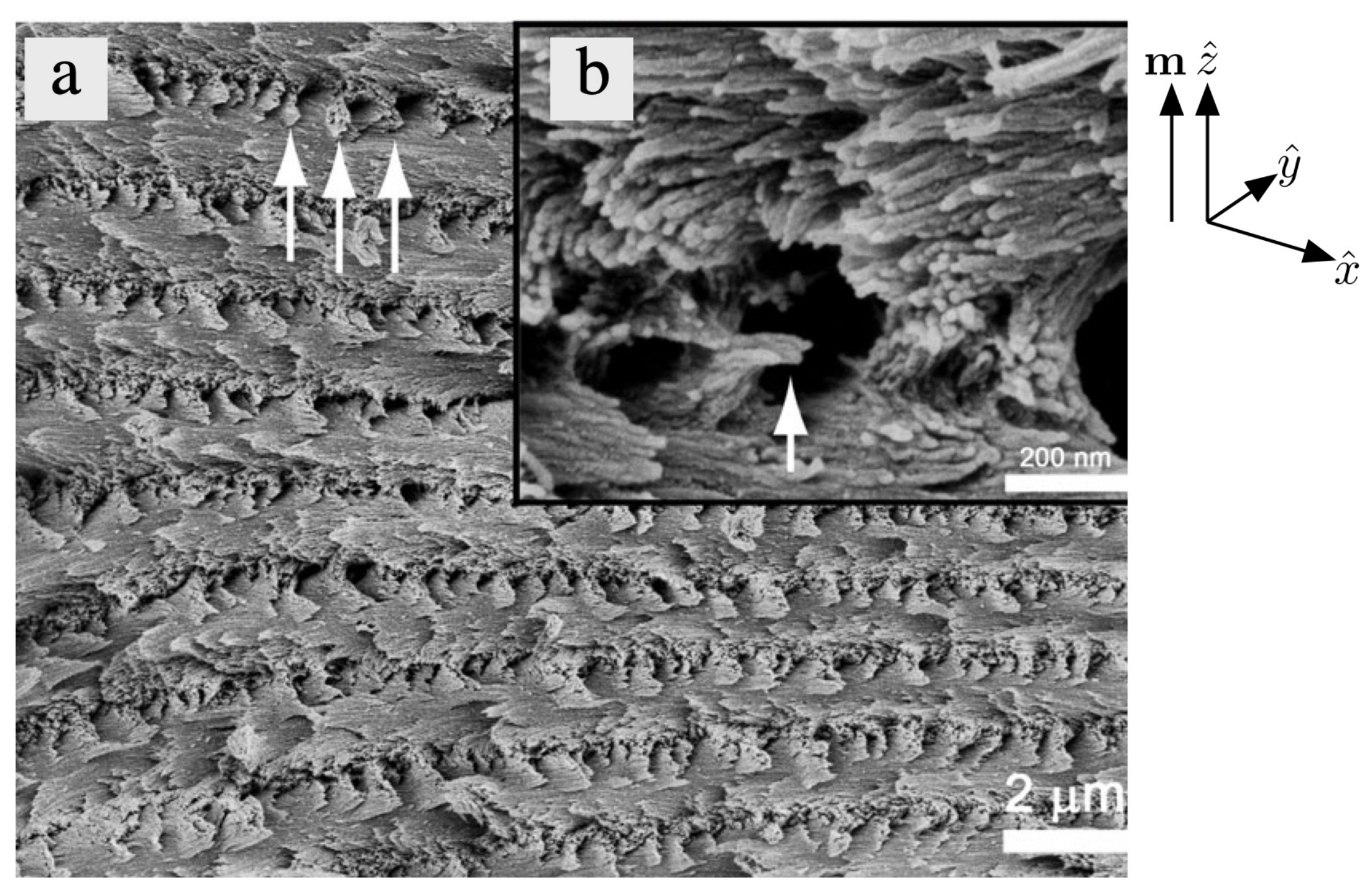 Crystals 10 00199 g004