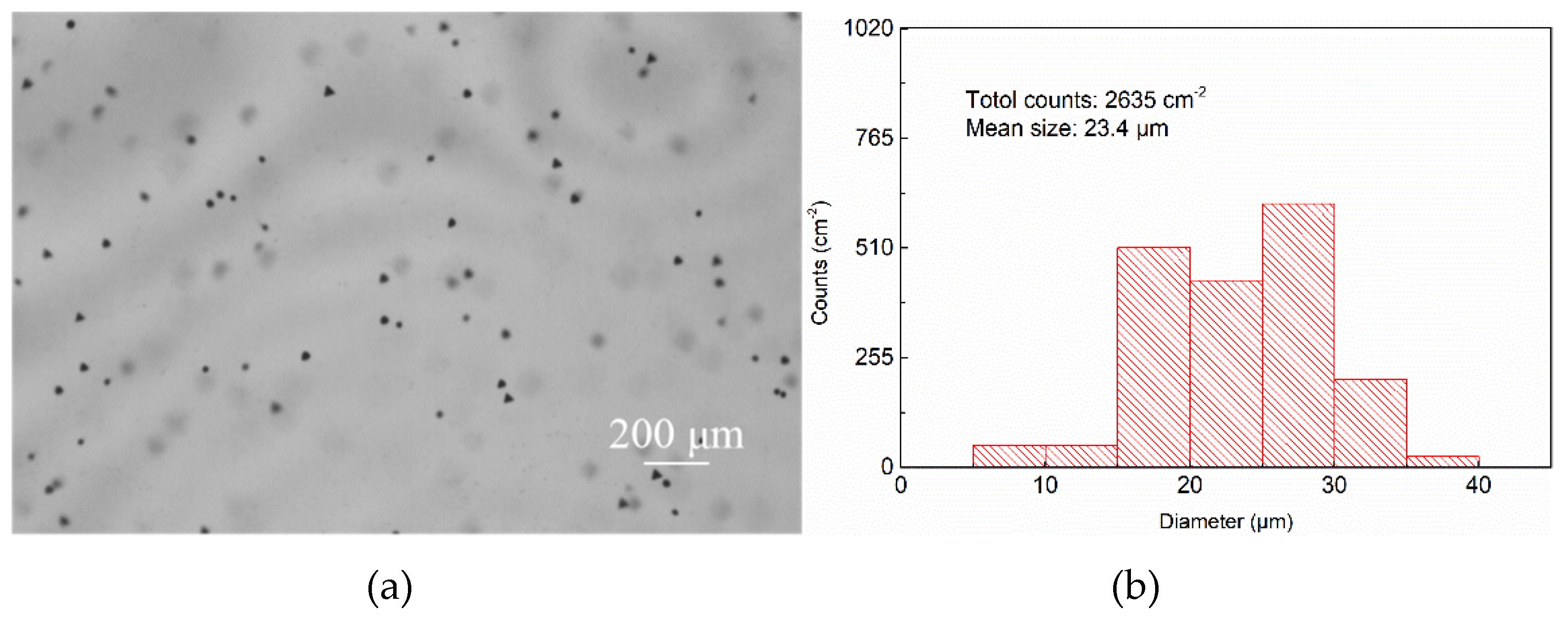 Crystals 10 00261 g005a