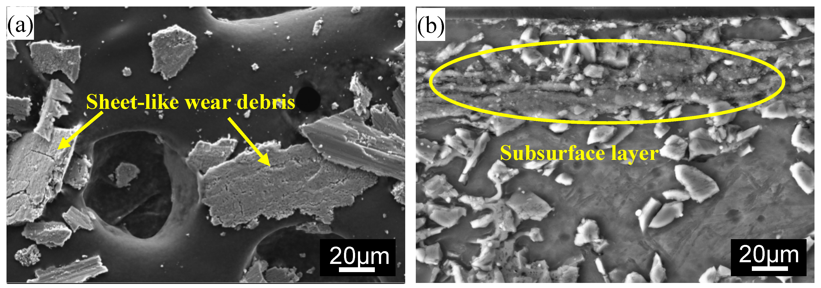 Crystals 10 00296 g005