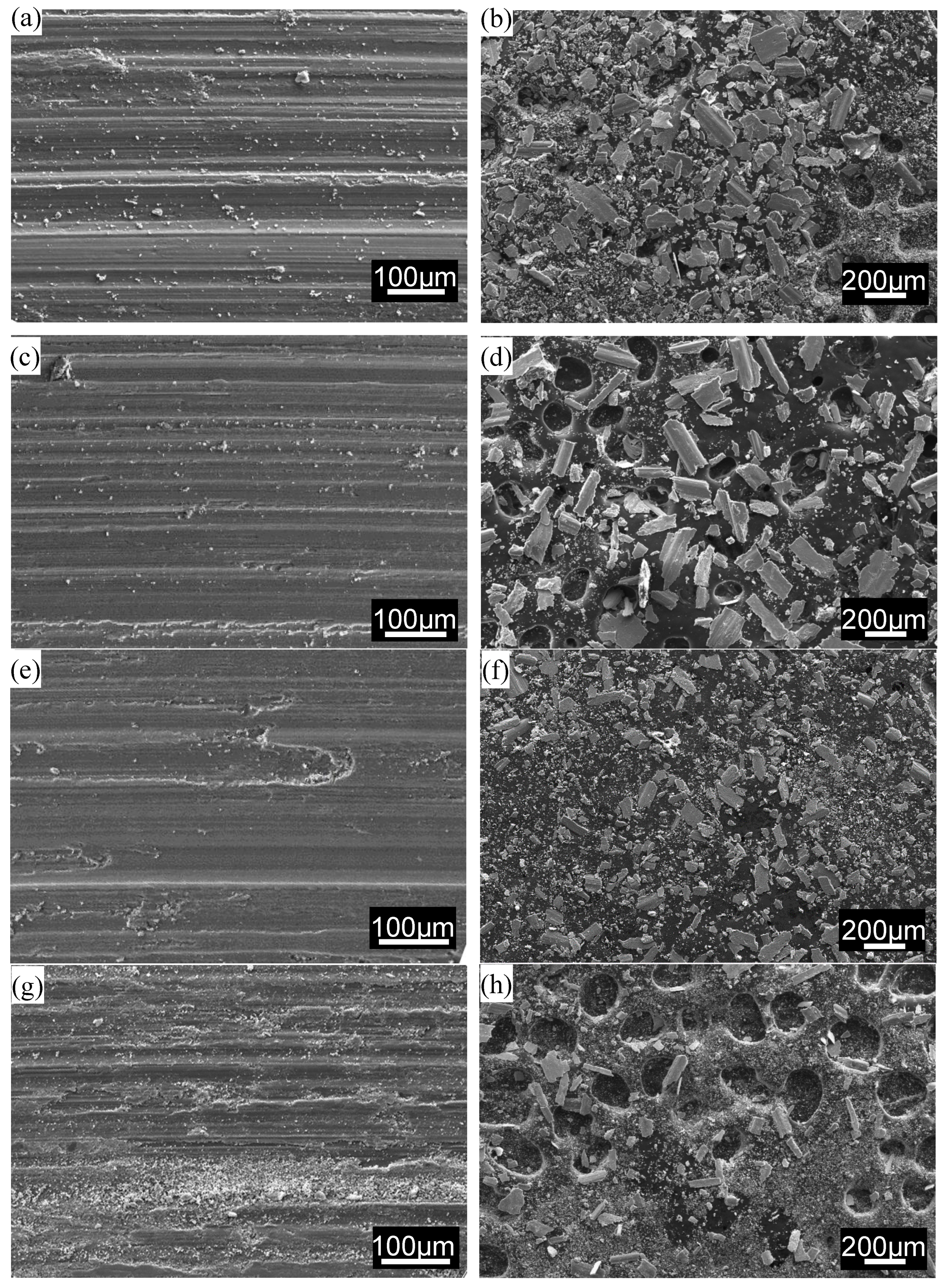 Crystals 10 00296 g009