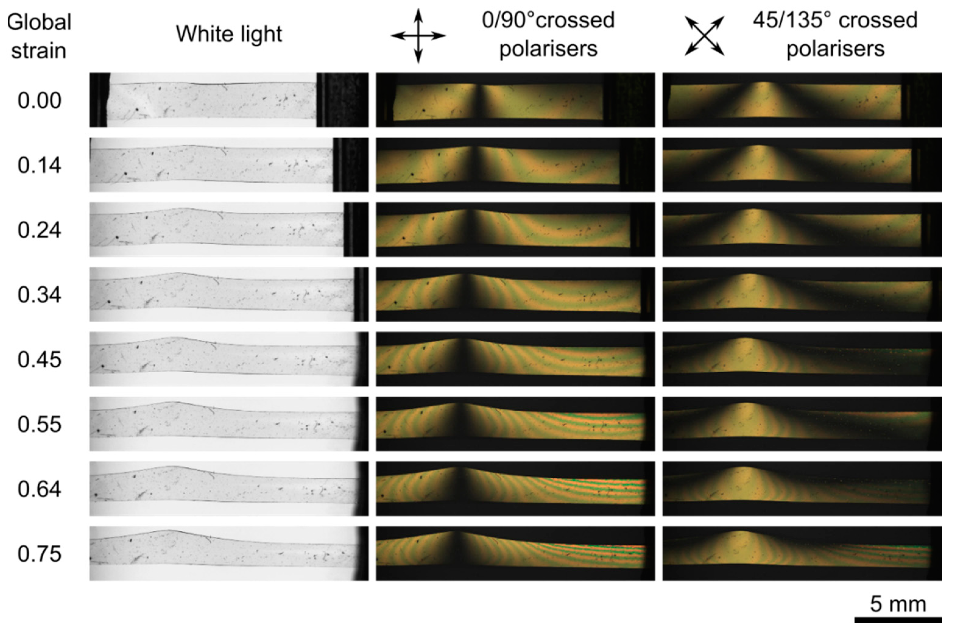 Crystals 10 00315 g002