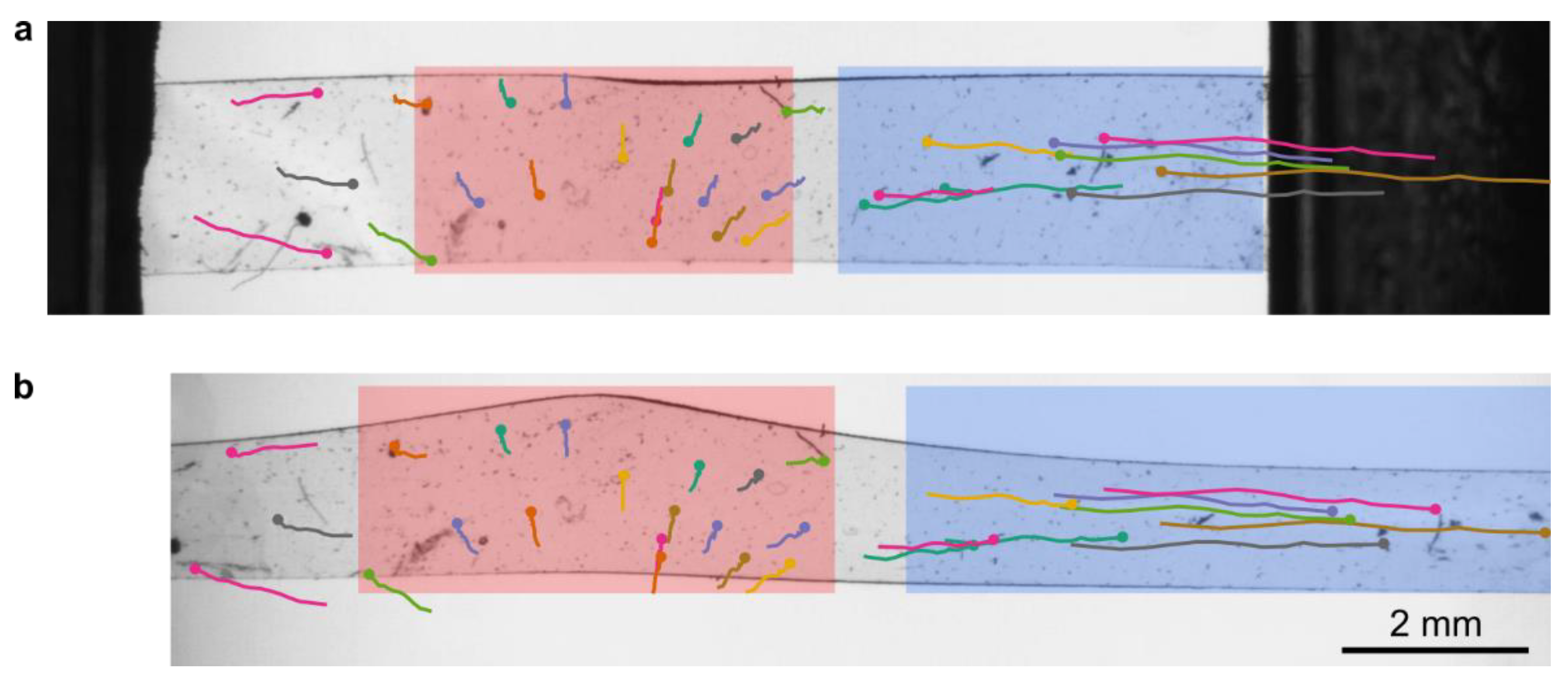 Crystals 10 00315 g003