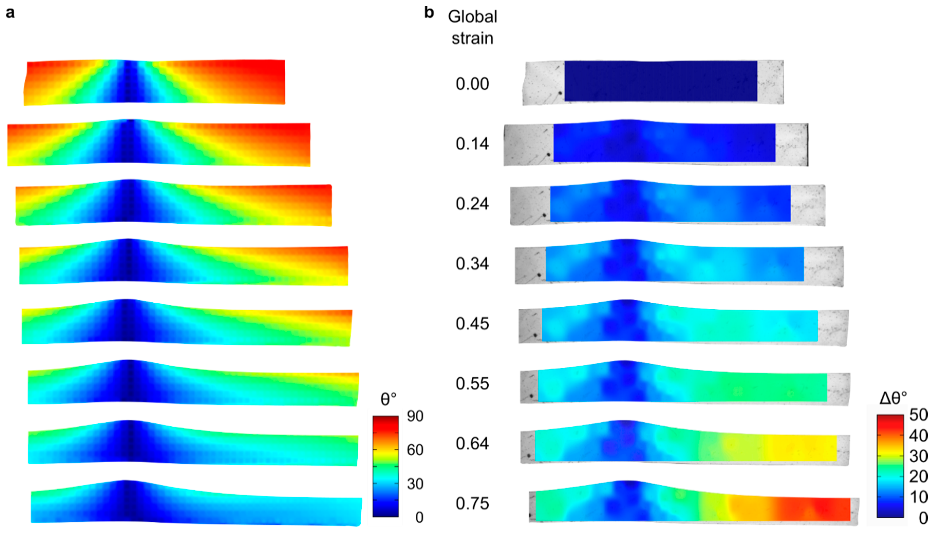 Crystals 10 00315 g004