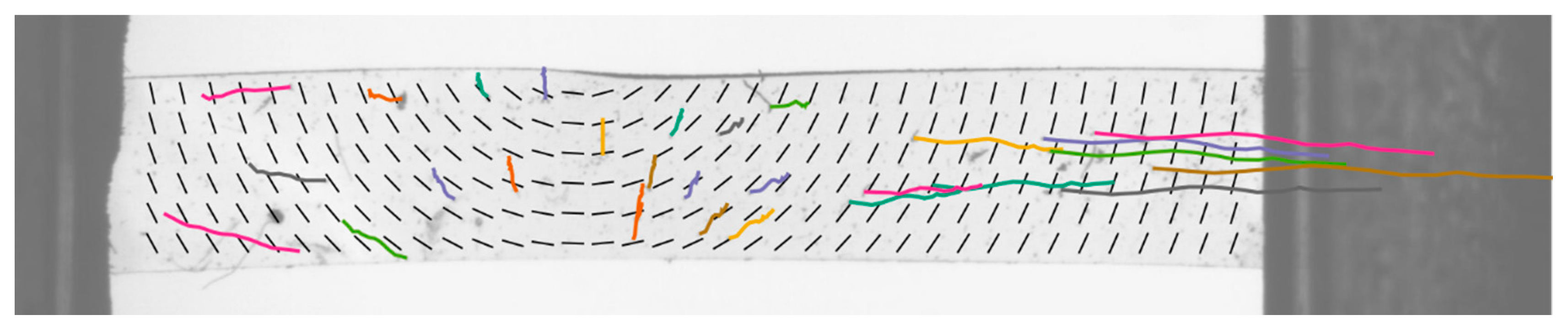 Crystals 10 00315 g006