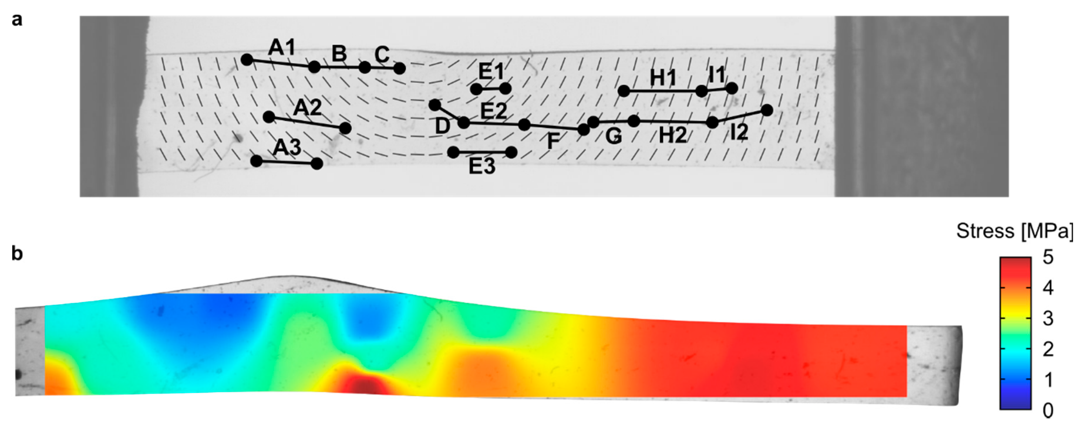 Crystals 10 00315 g009