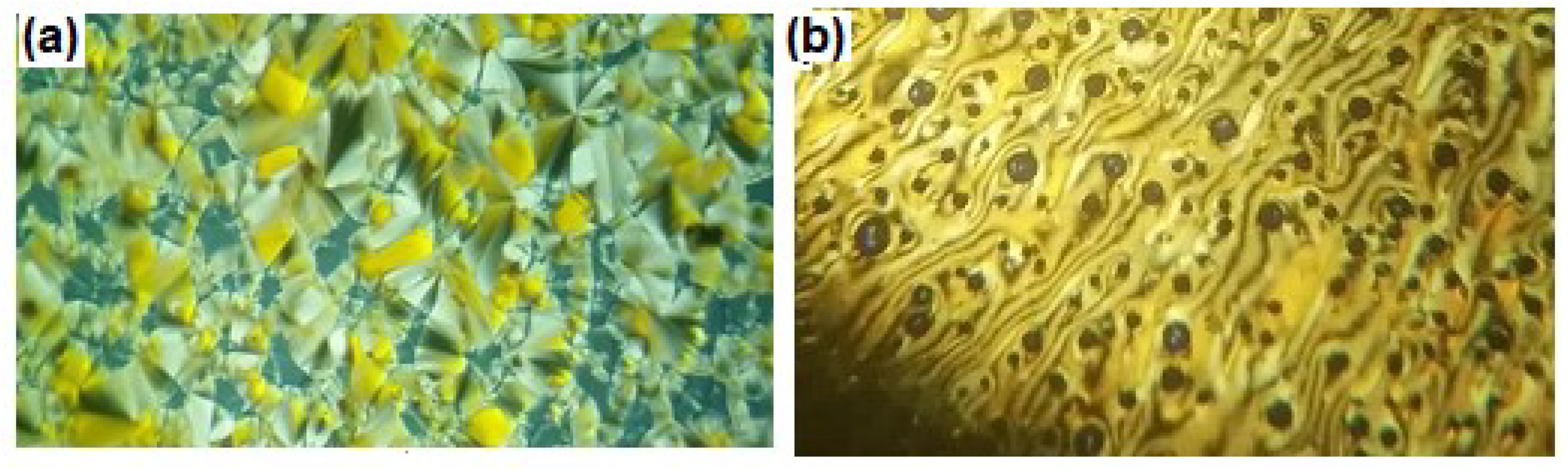 Crystals 10 00319 g002