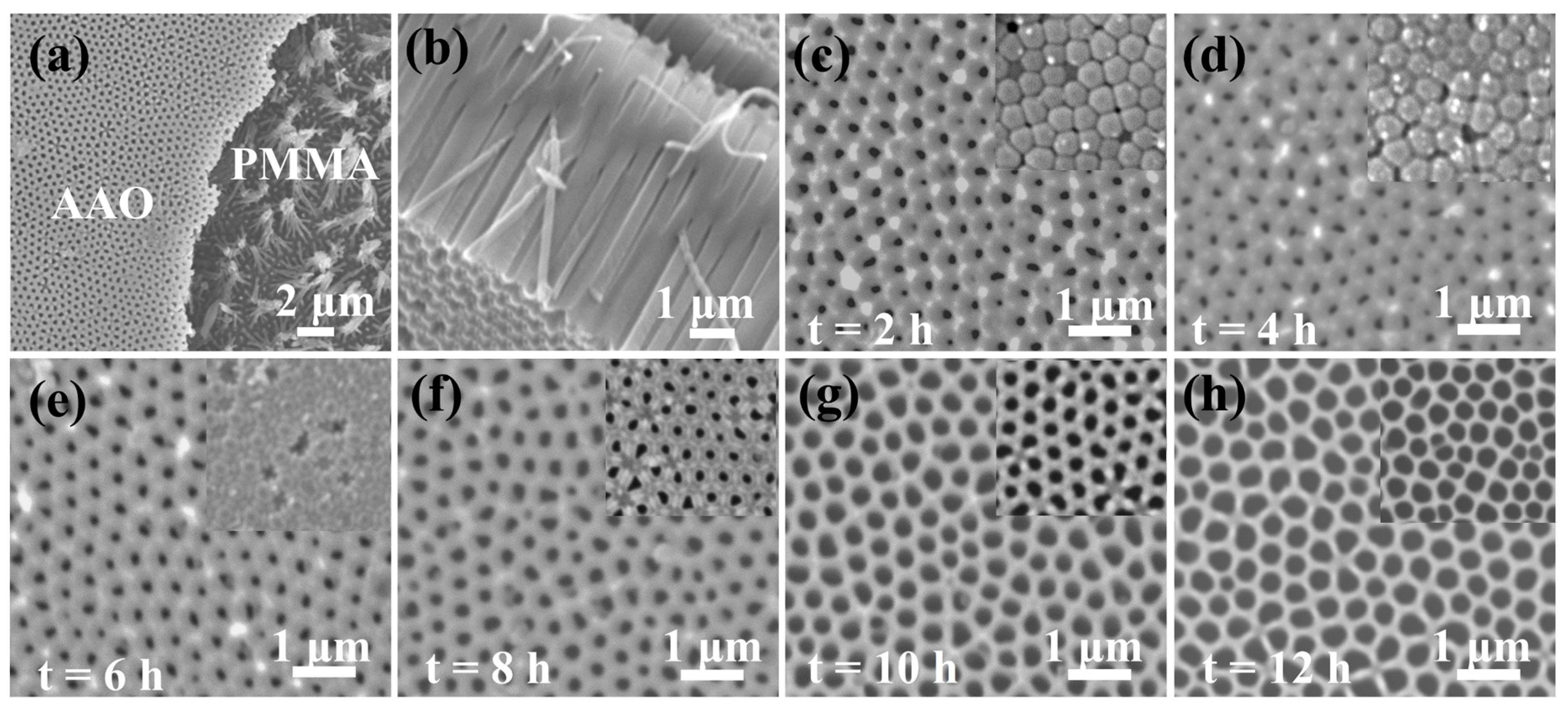 Crystals 10 00331 g007