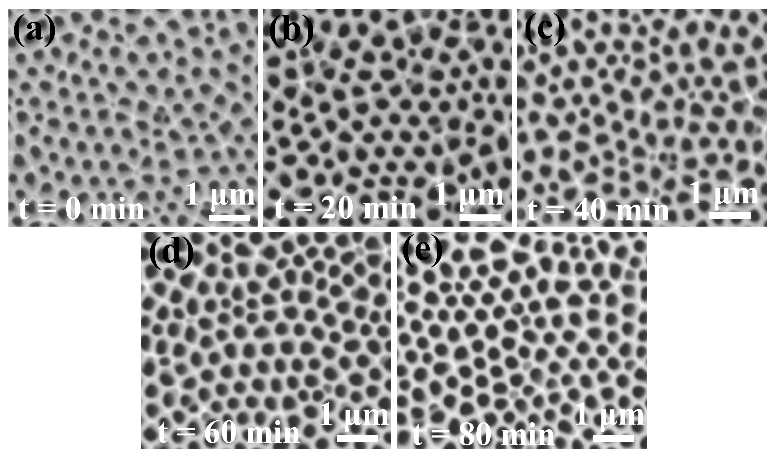 Crystals 10 00331 g008