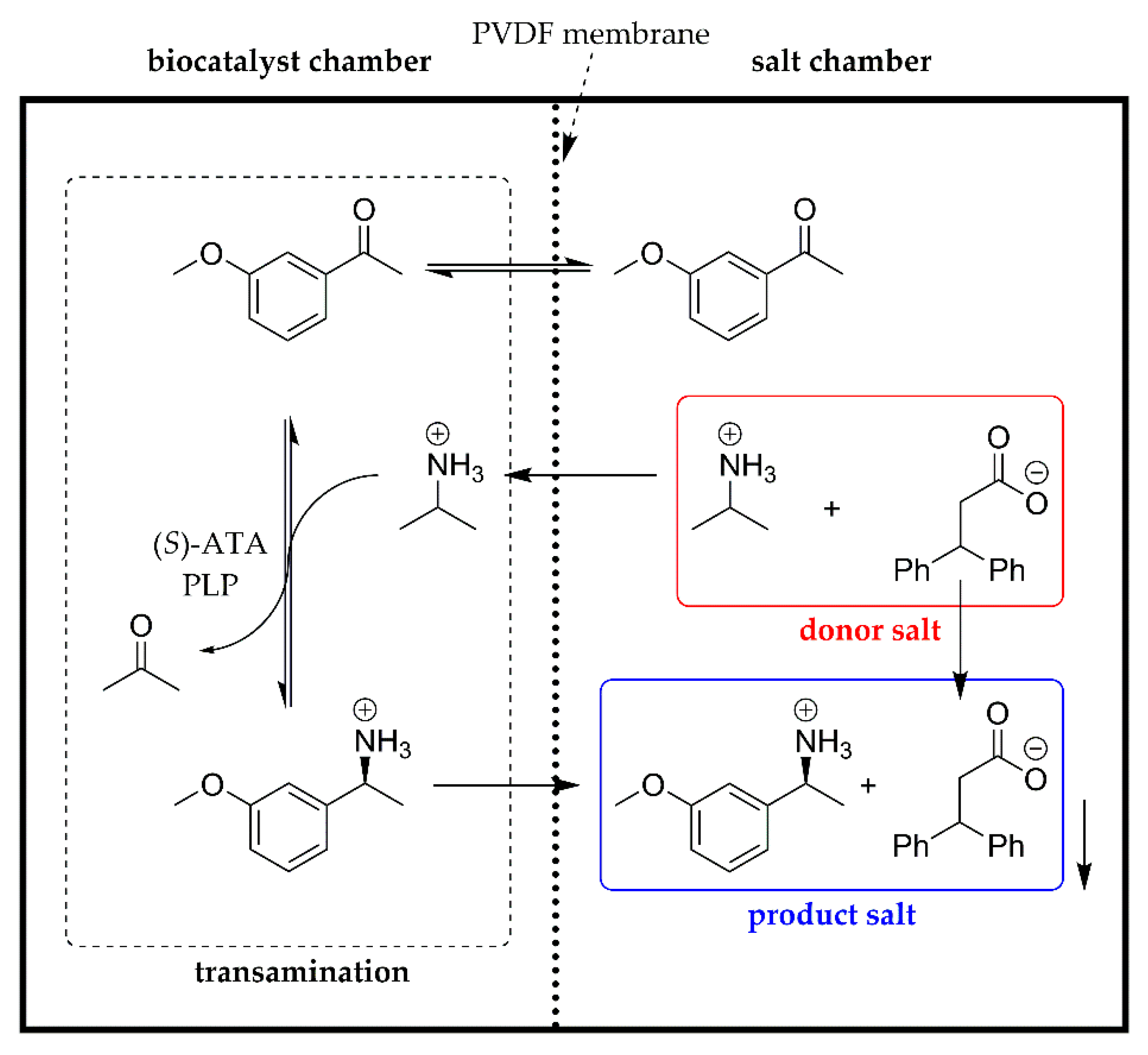 Crystals 10 00345 g004