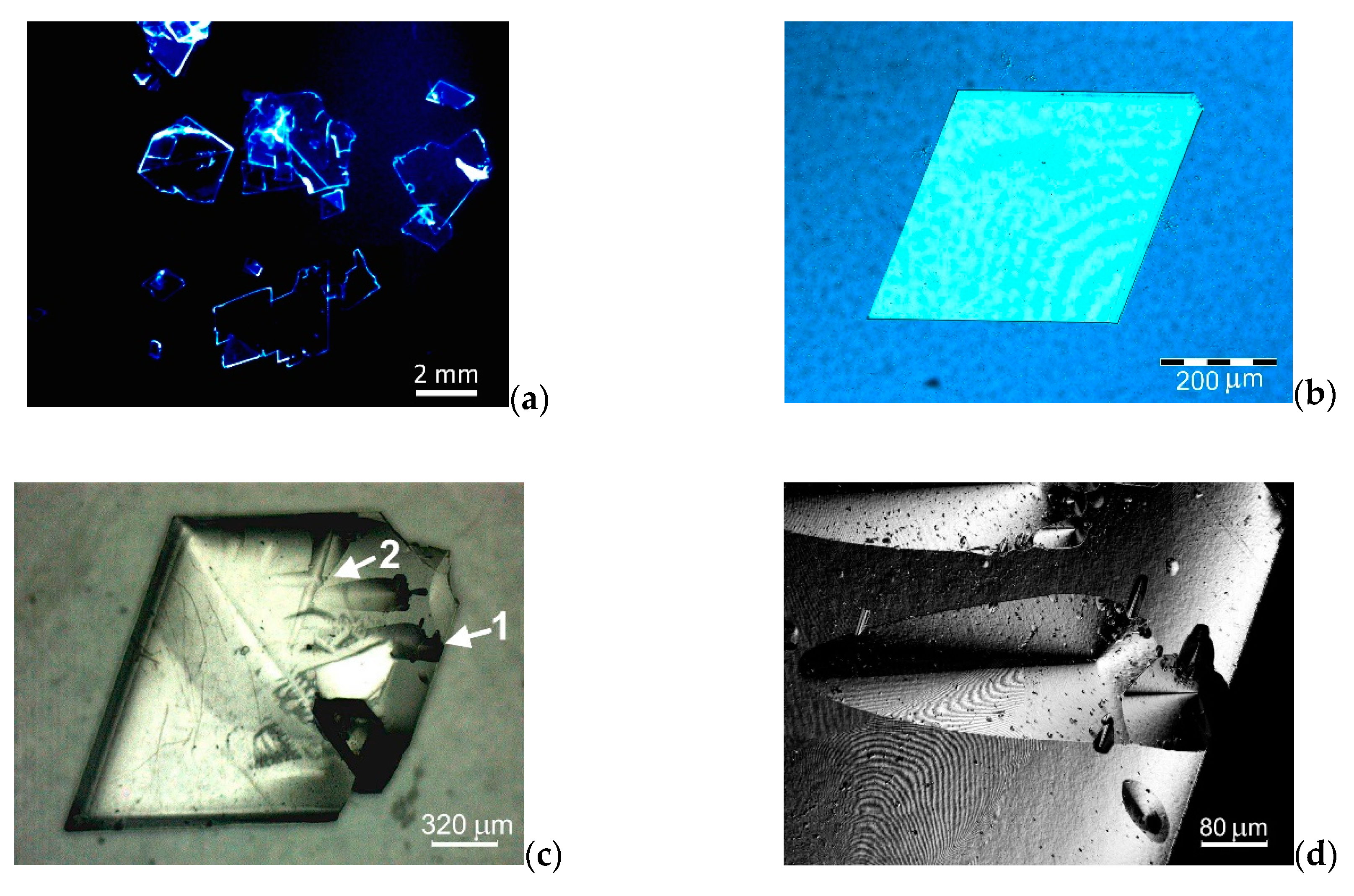Crystals 10 00363 g002a Crystals 10 00363 g002a