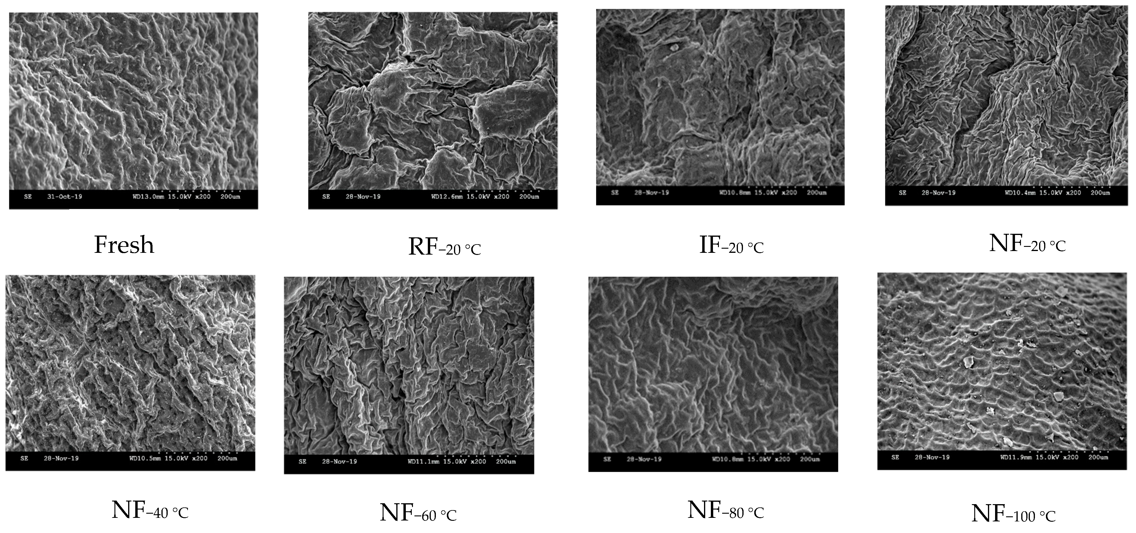 Crystals 10 00368 g004