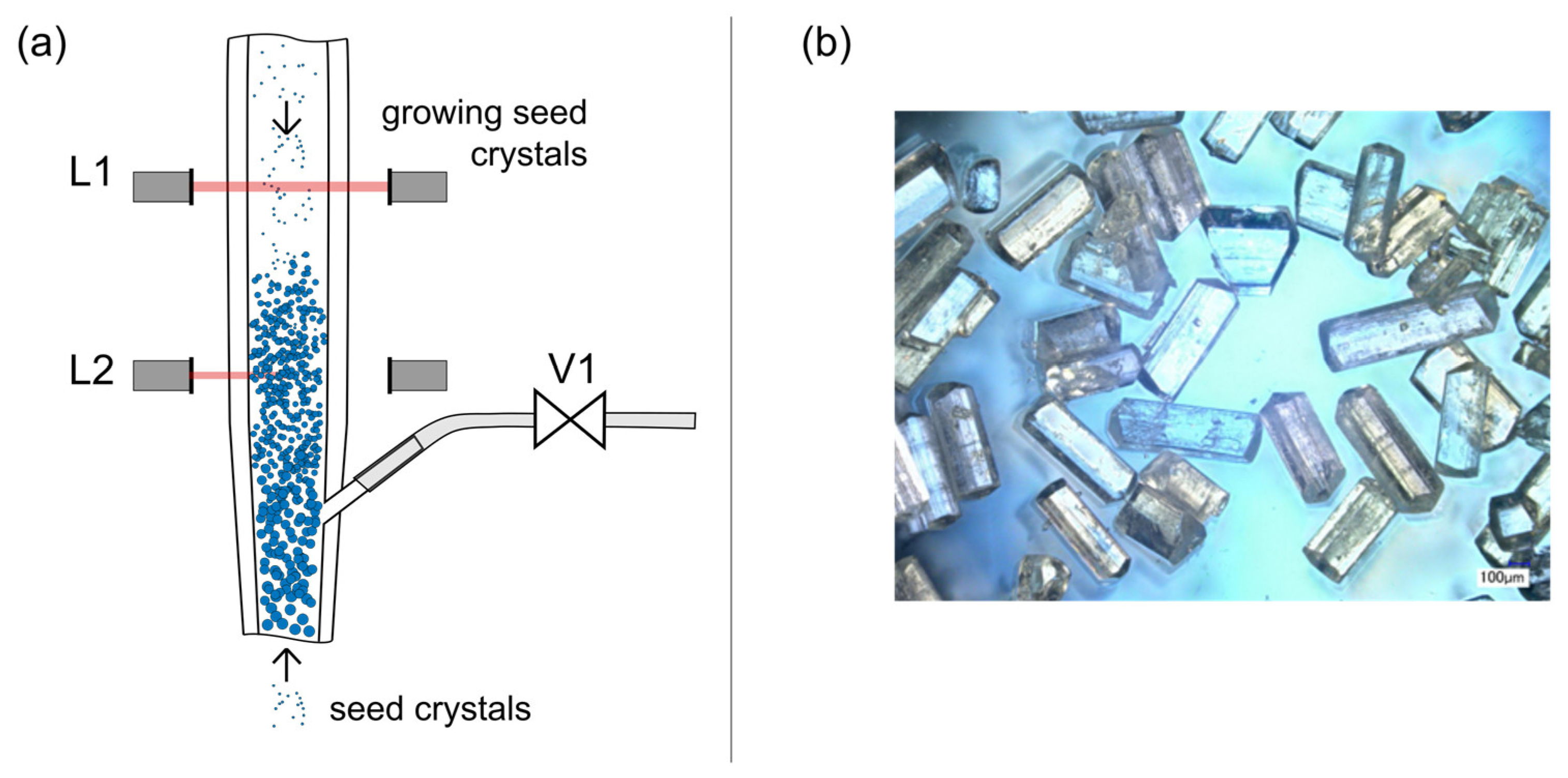 Crystals 10 00394 g004