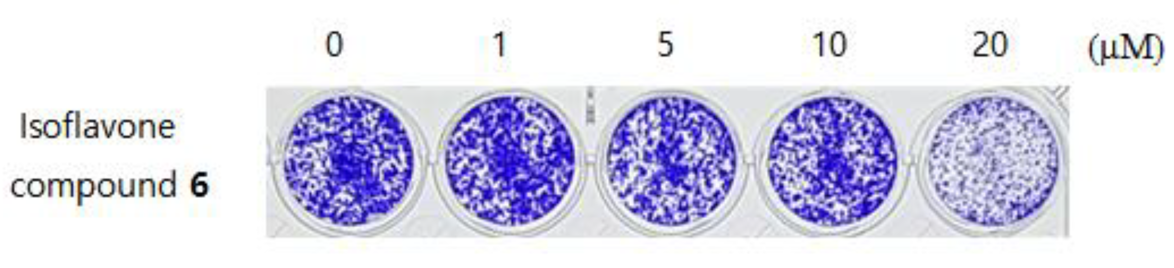 Crystals 10 00413 g012 Crystals 10 00413 g012