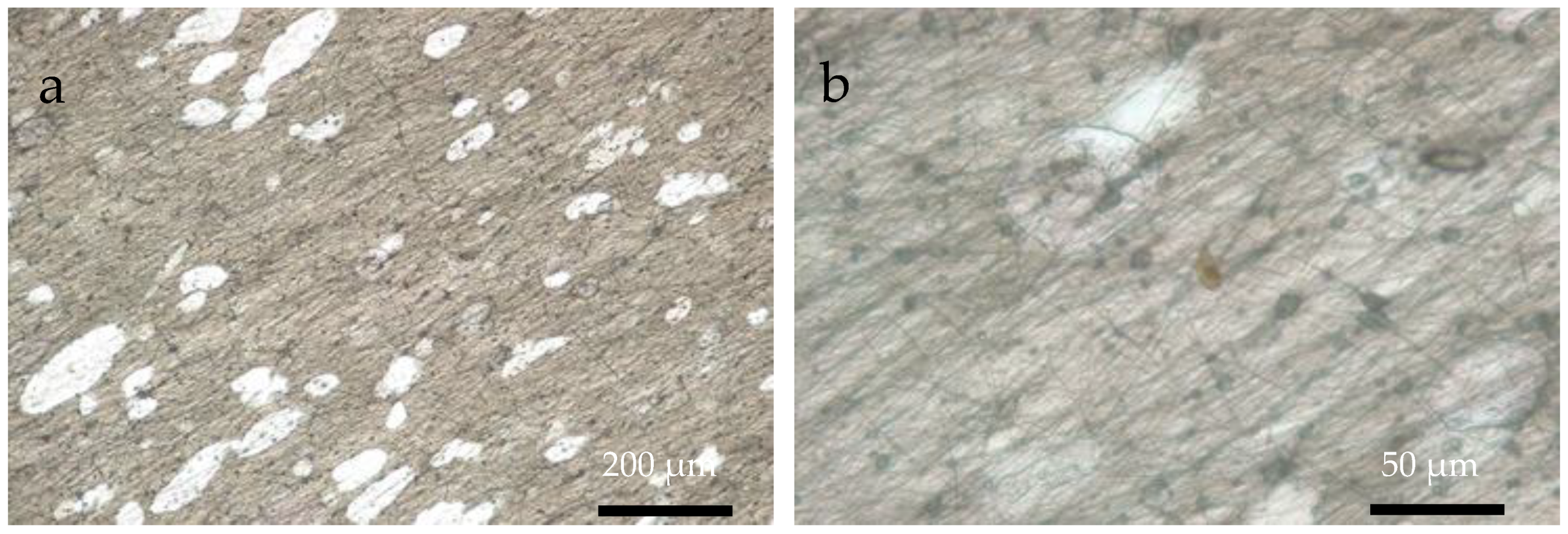 Crystals 10 00453 g005 Crystals 10 00453 g005