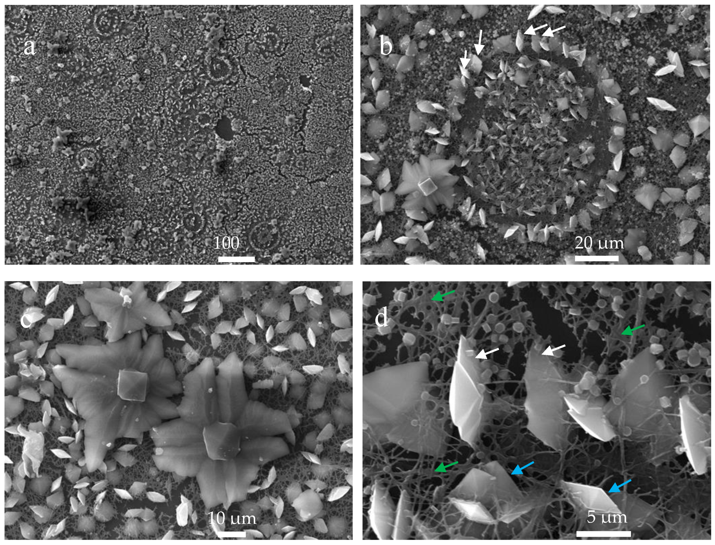 Crystals 10 00453 g010 Crystals 10 00453 g010