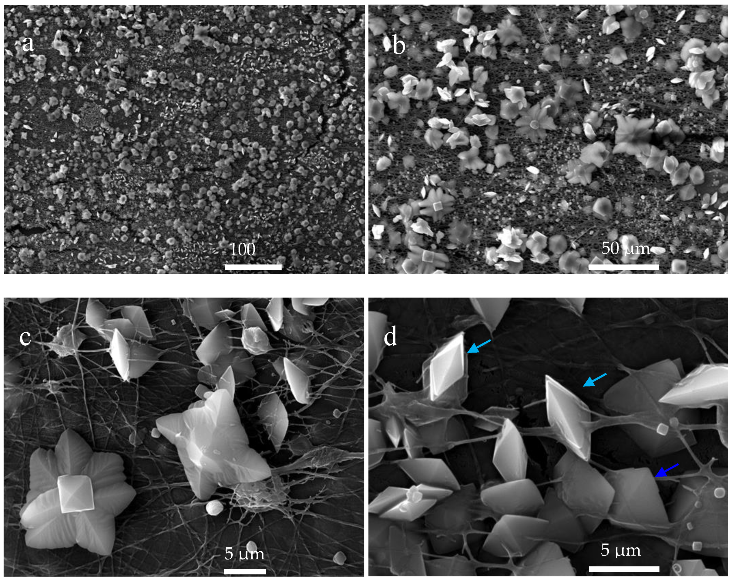 Crystals 10 00453 g011 Crystals 10 00453 g011