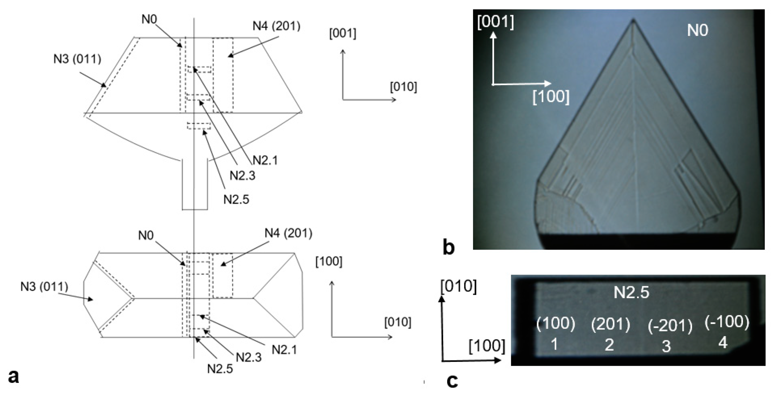 Crystals 10 00458 g001