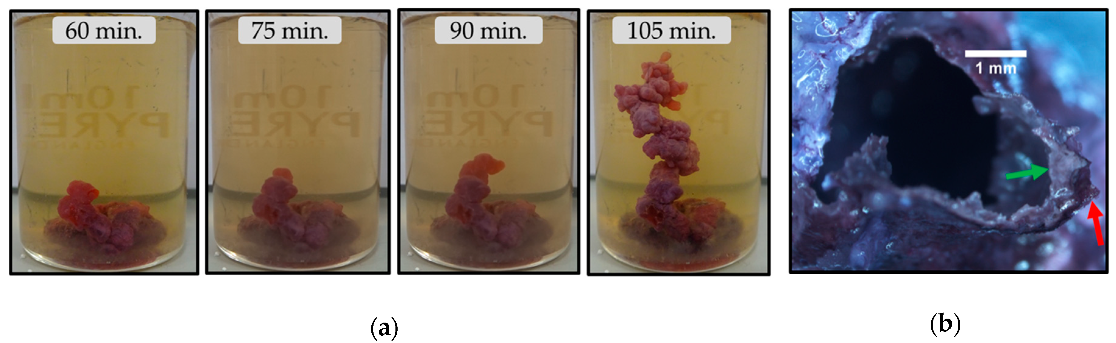 Crystals 10 00467 g002 Crystals 10 00467 g002