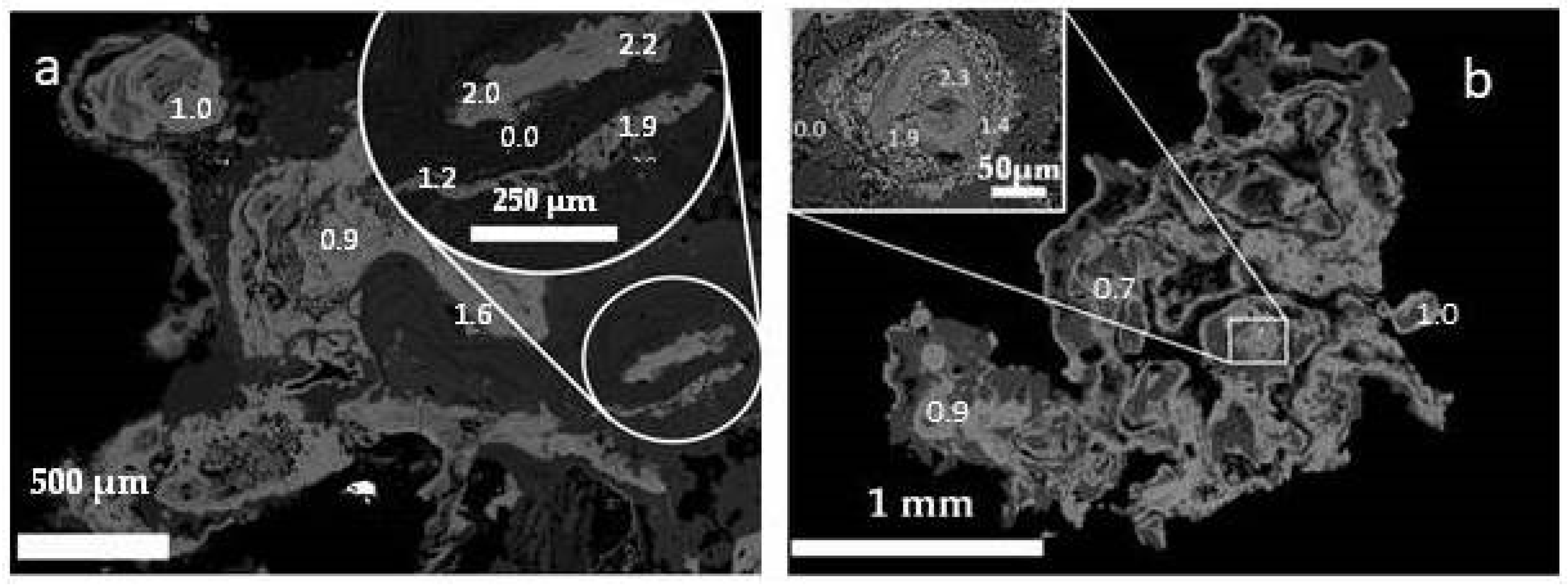 Crystals 10 00486 g004 Crystals 10 00486 g004