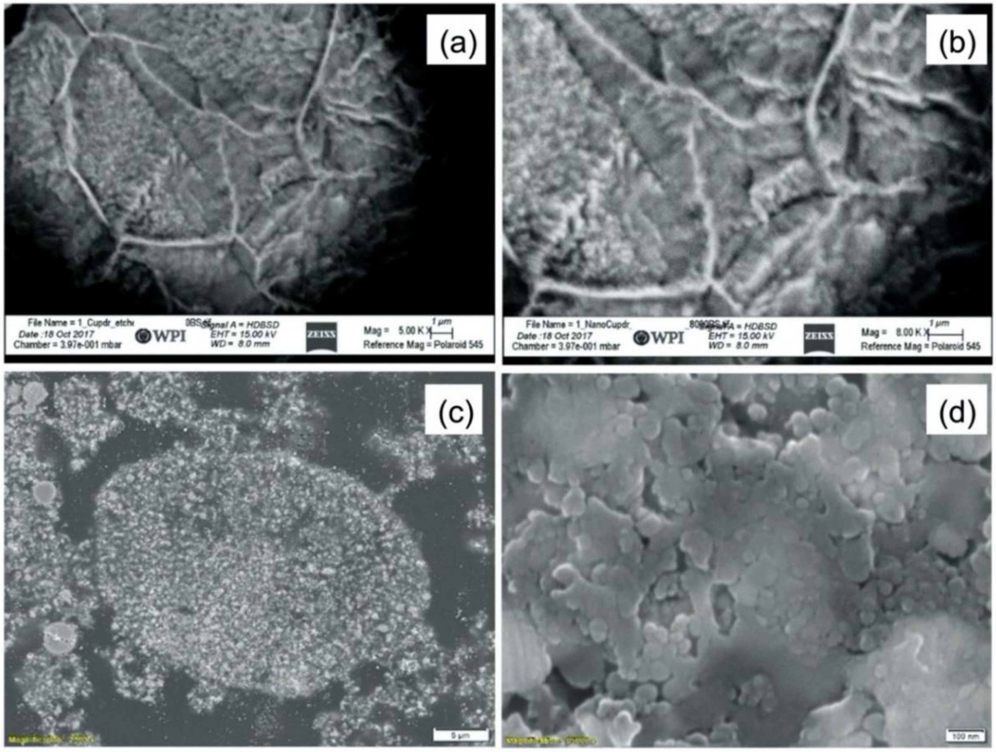 Crystals 10 00504 g002