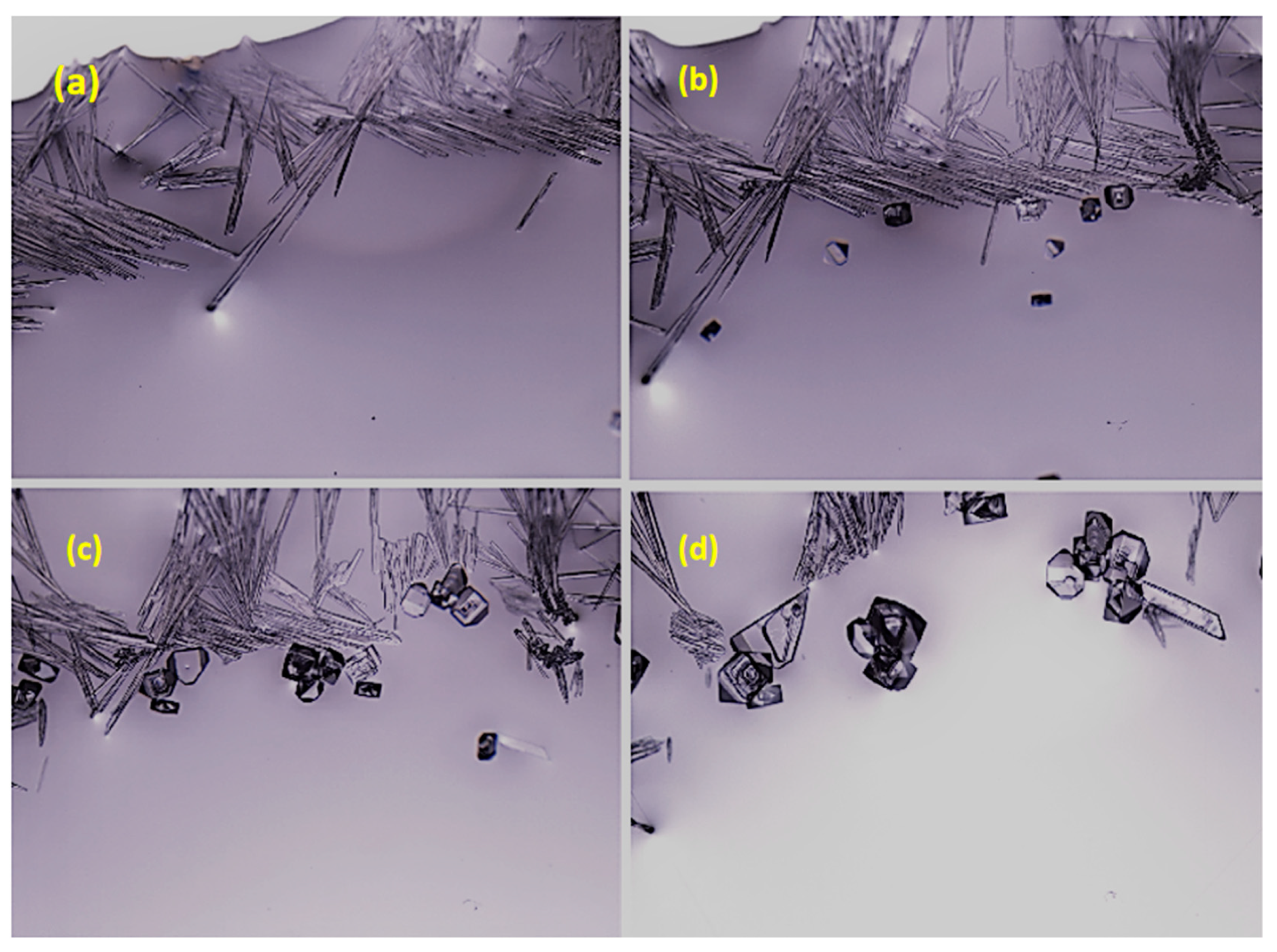 Crystals 10 00511 g004 Crystals 10 00511 g004