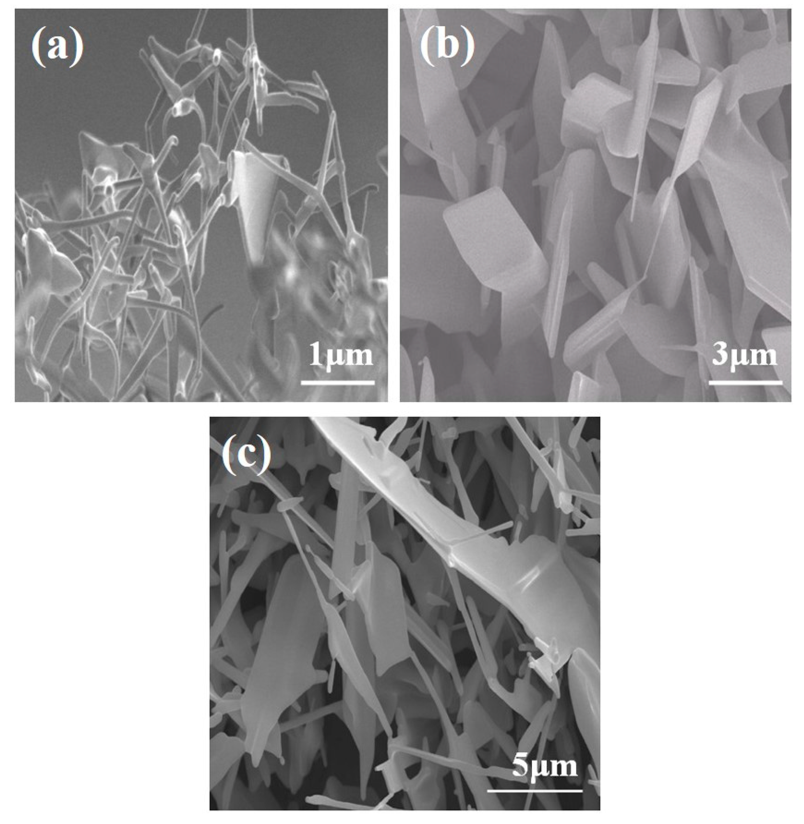 Crystals 10 00517 g002 Crystals 10 00517 g002
