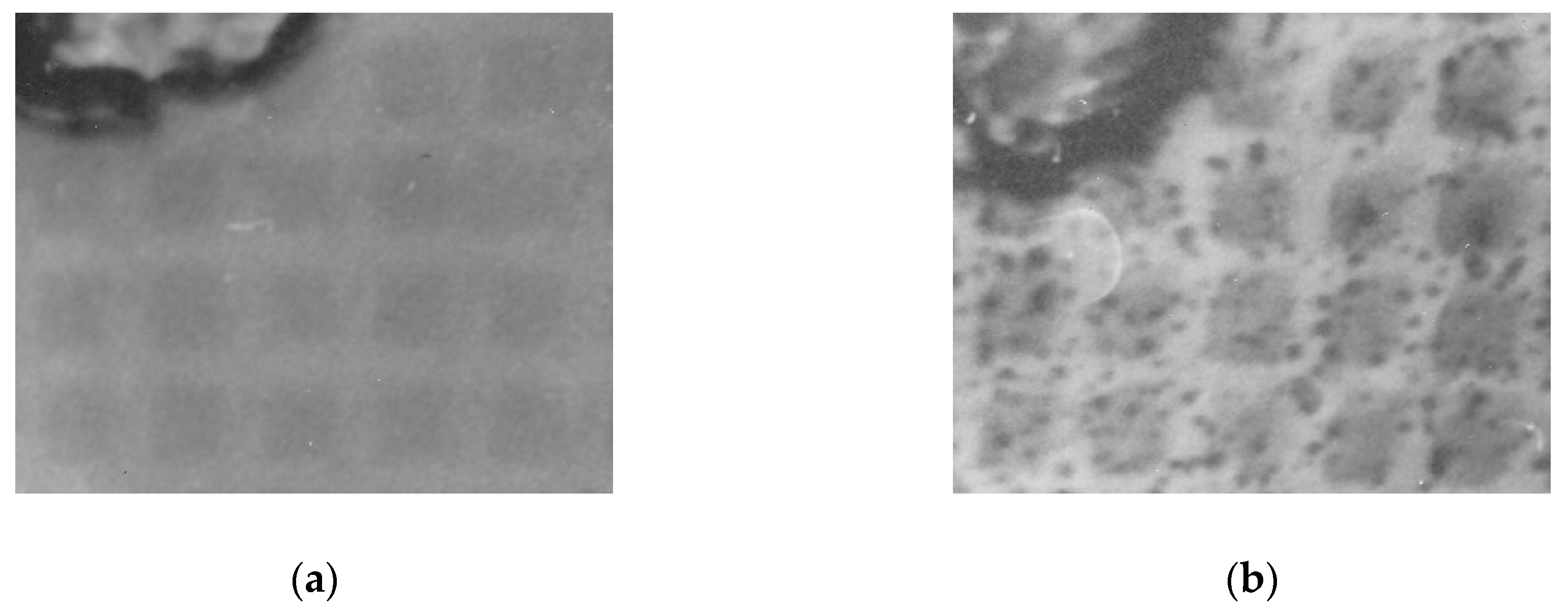 Crystals 10 00523 g007 Crystals 10 00523 g007