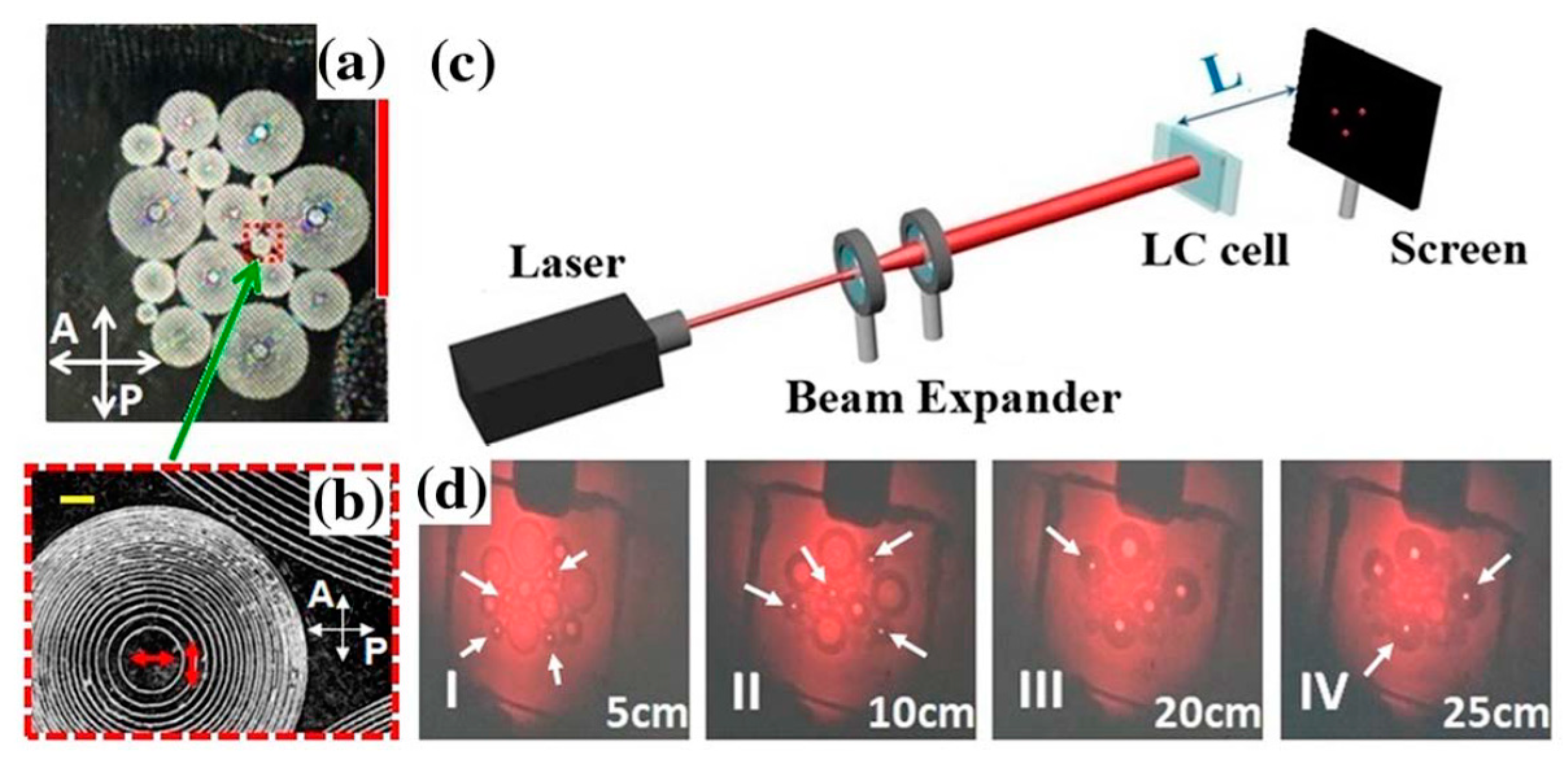 Crystals 10 00563 g007