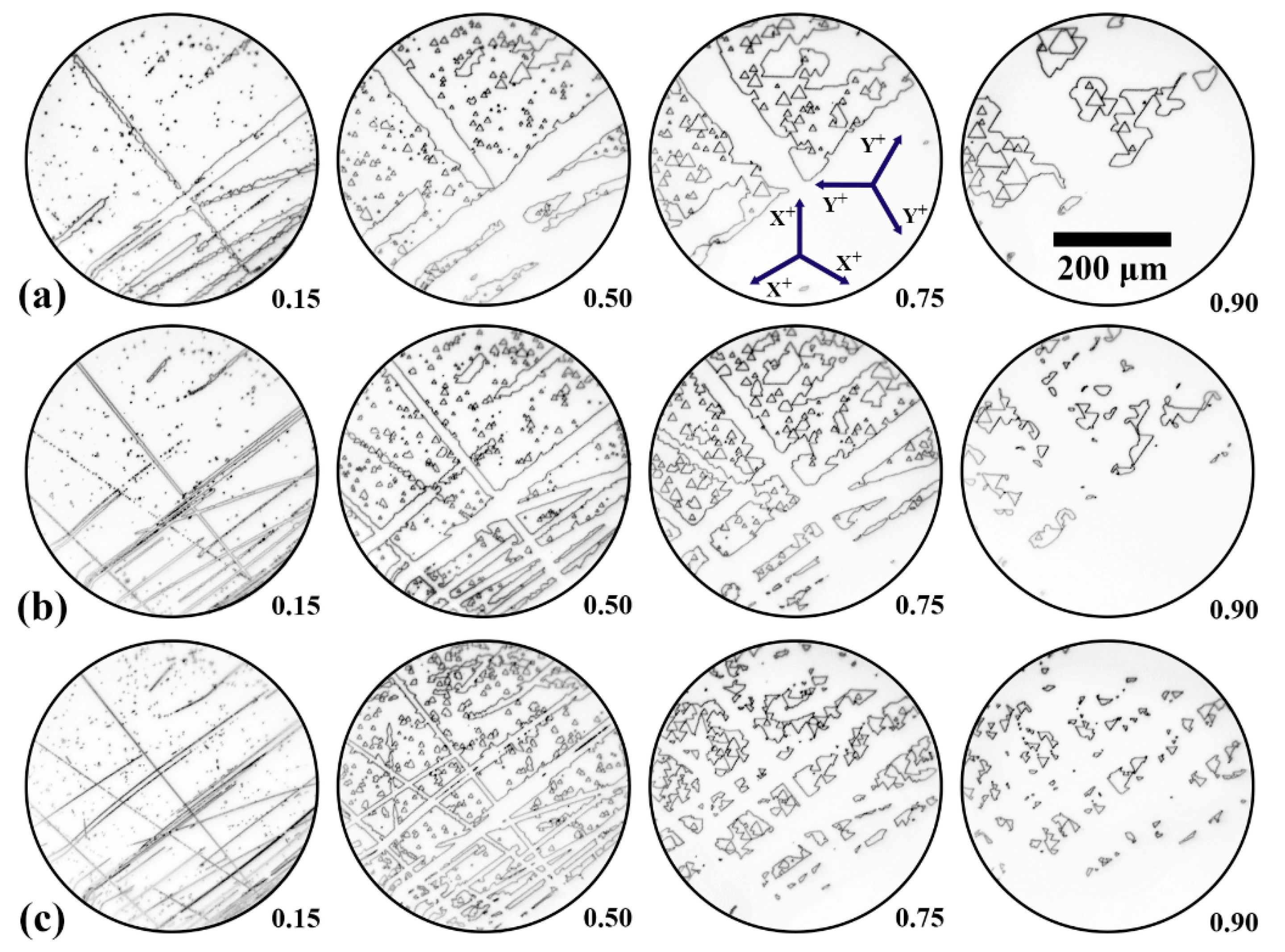 Crystals 10 00583 g002