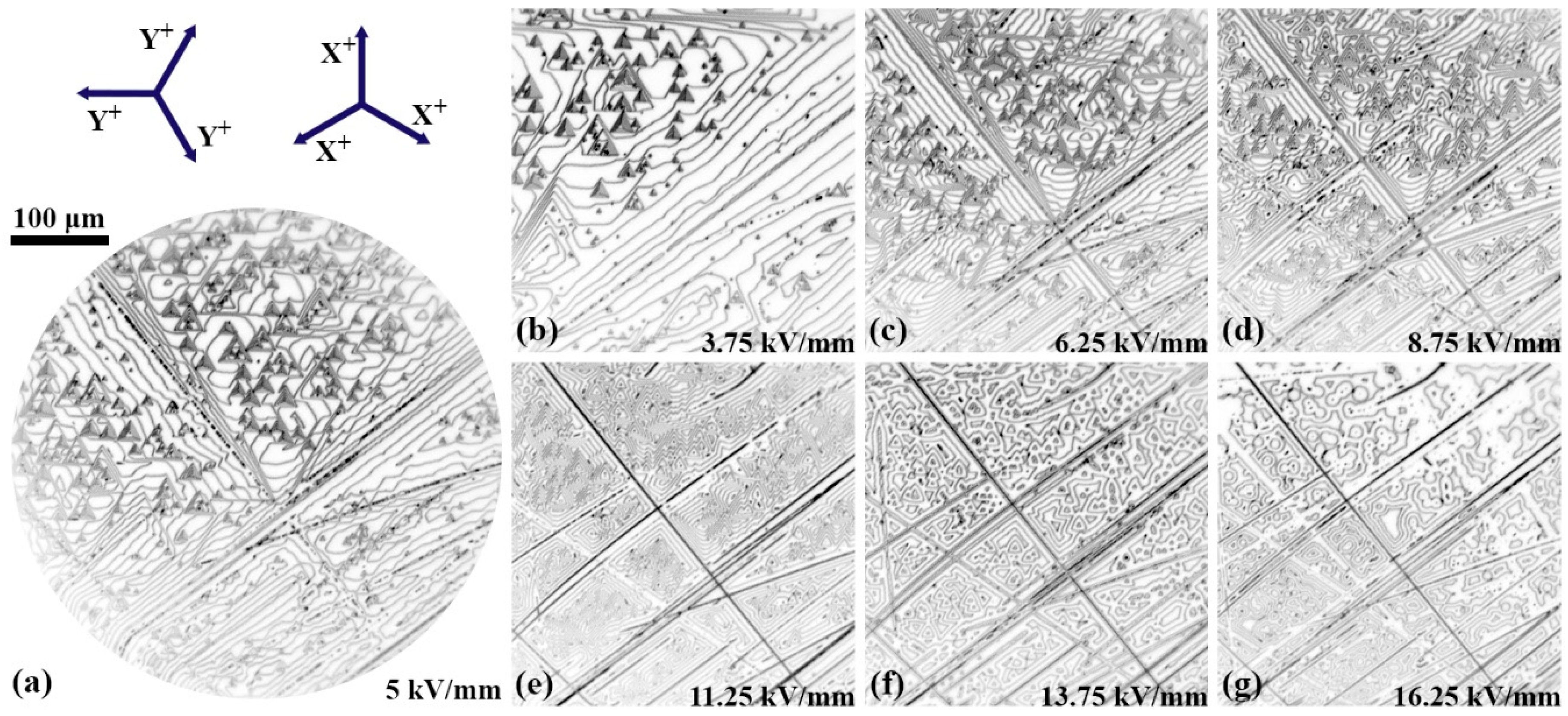 Crystals 10 00583 g003