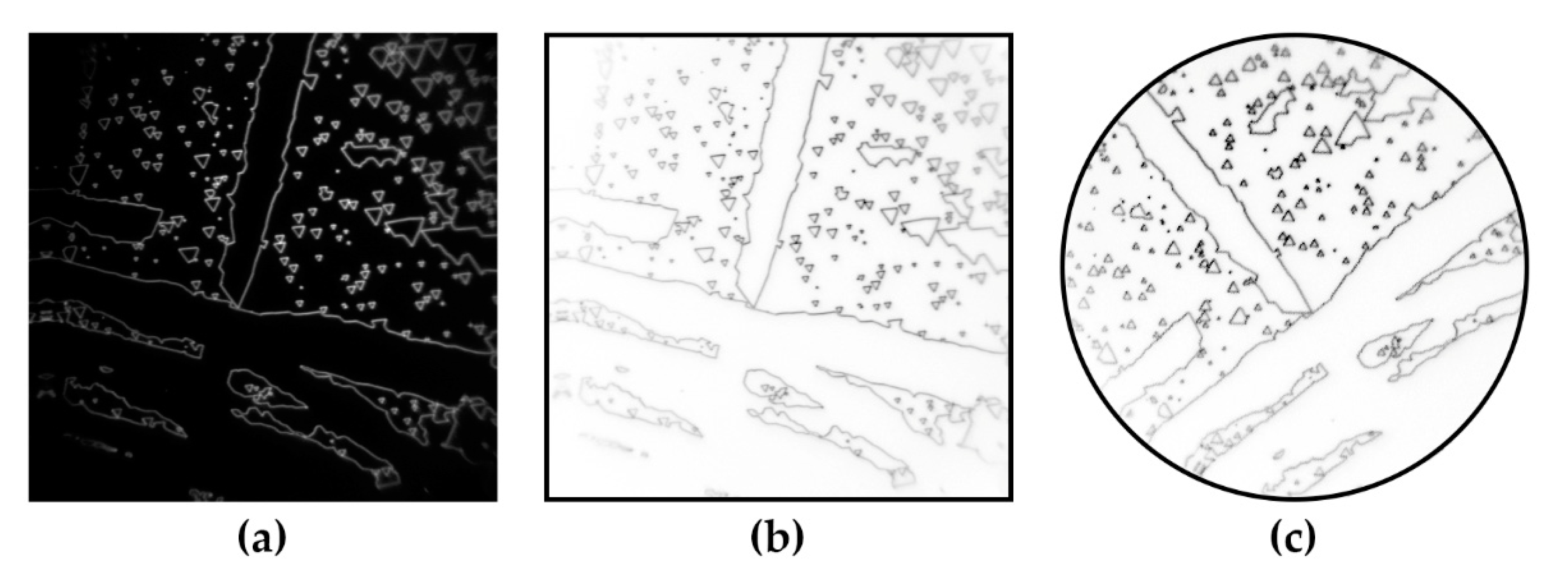 Crystals 10 00583 g0a1