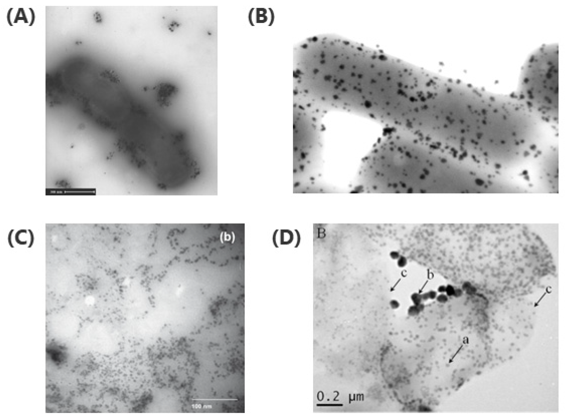 Crystals 10 00589 g001